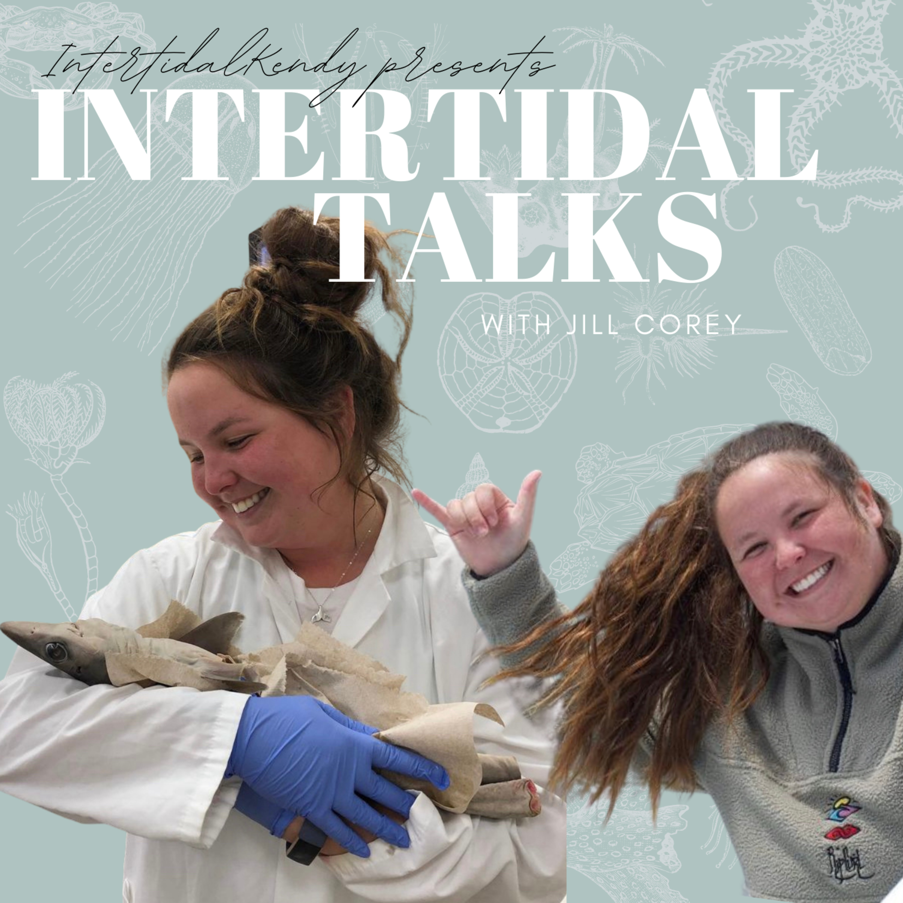 Humpback Whales & Divorce with Jill Corey