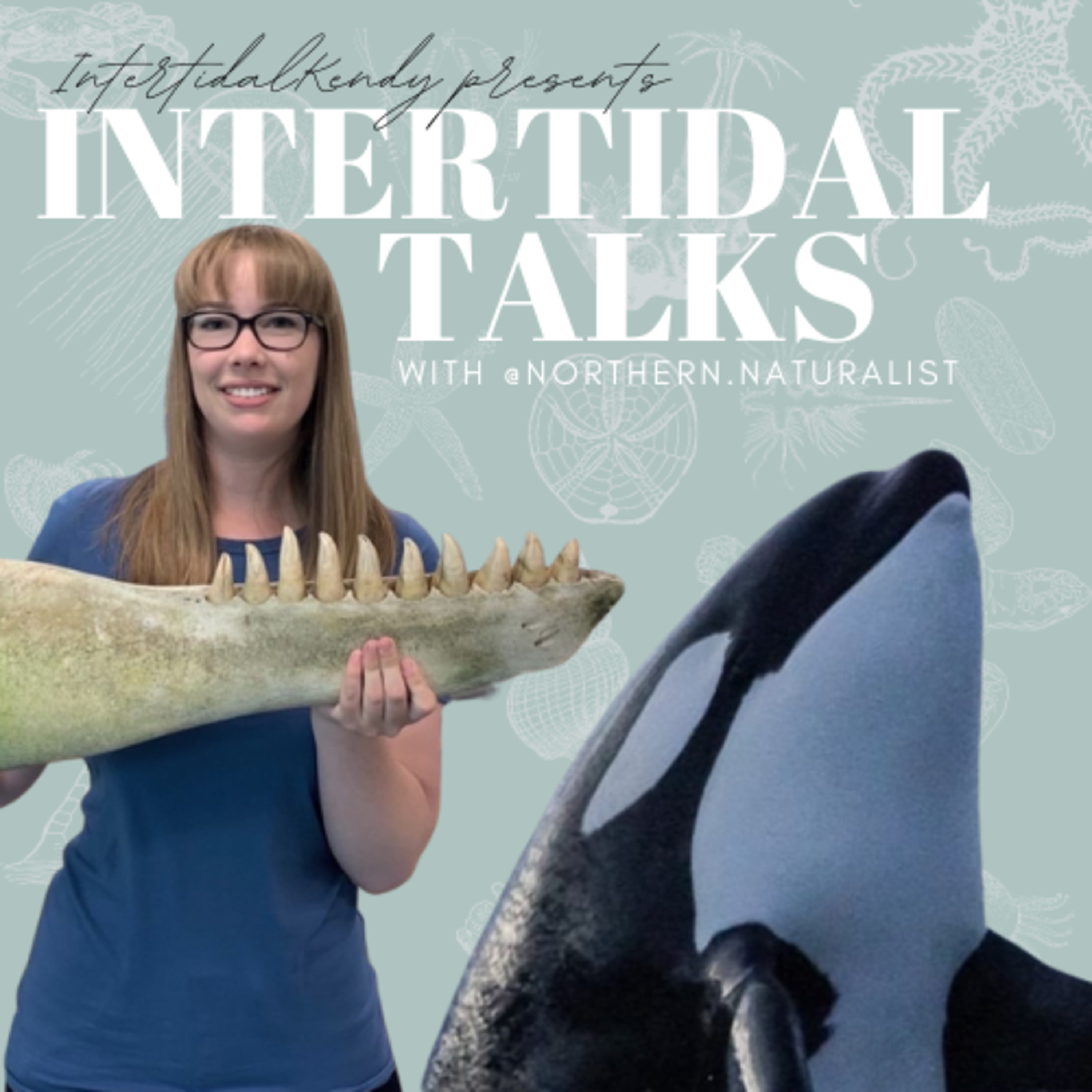Killer Whale FAQ's with Emma Luck (feat Sushi the cat)