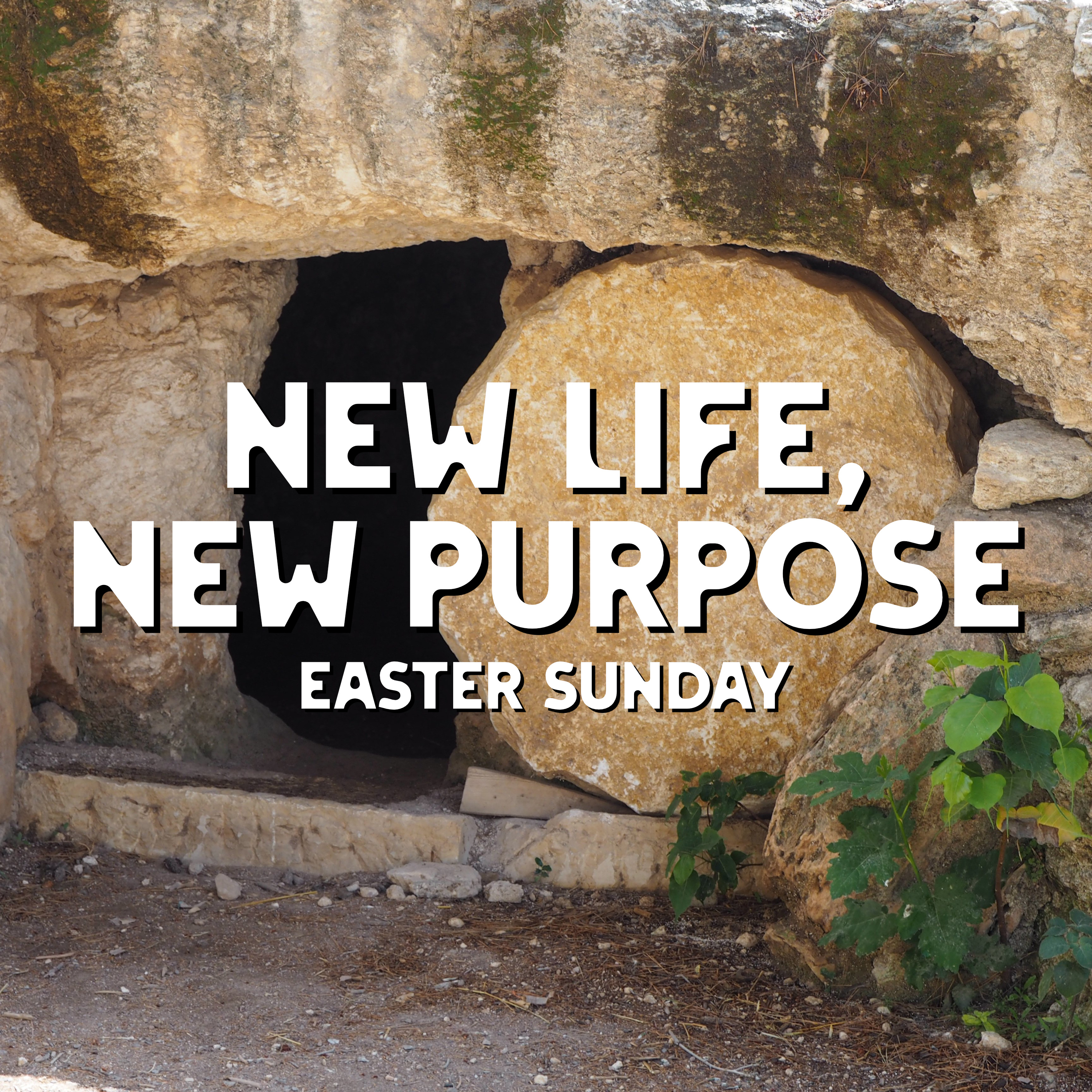 Kennesaw Family Life Church