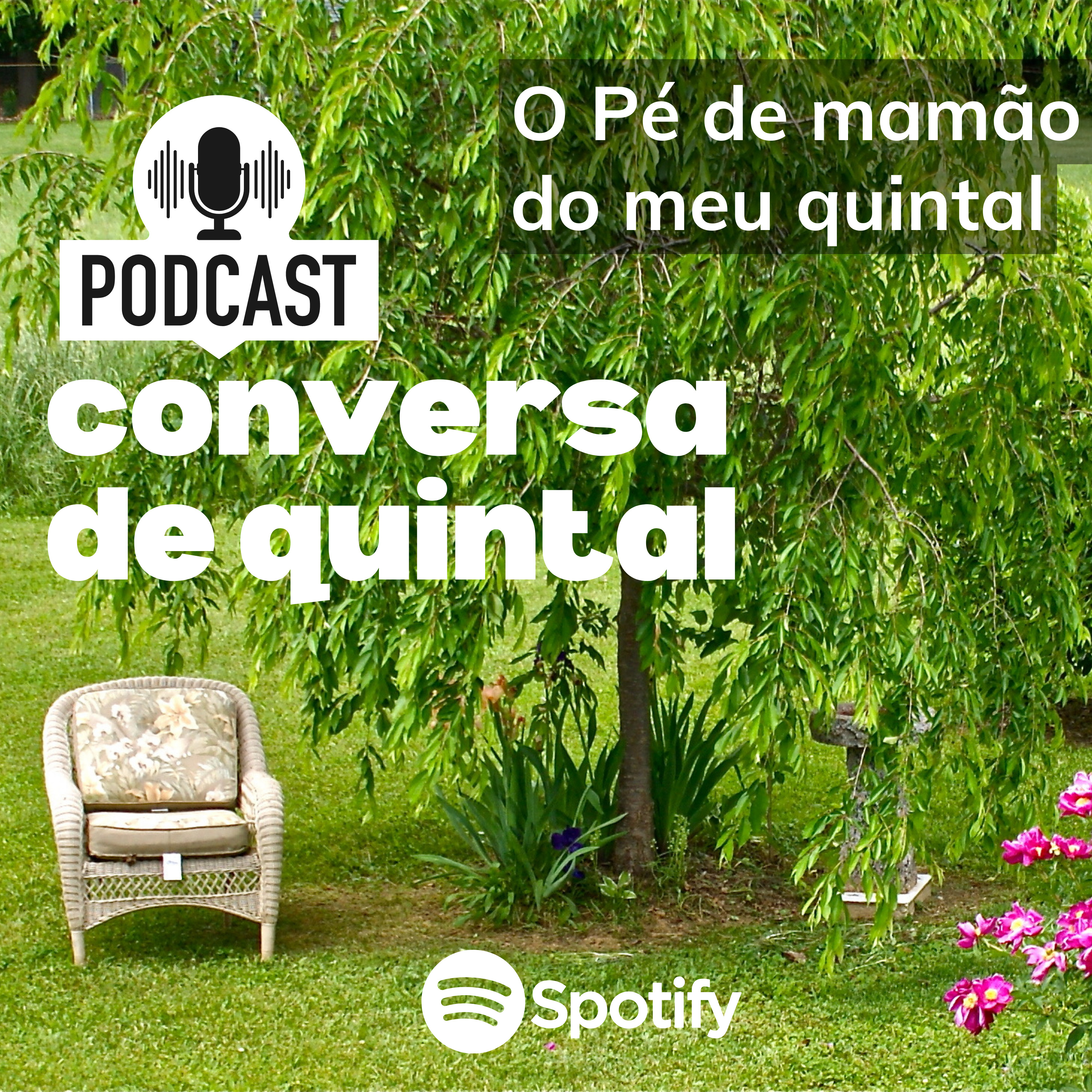 ESCADÃO