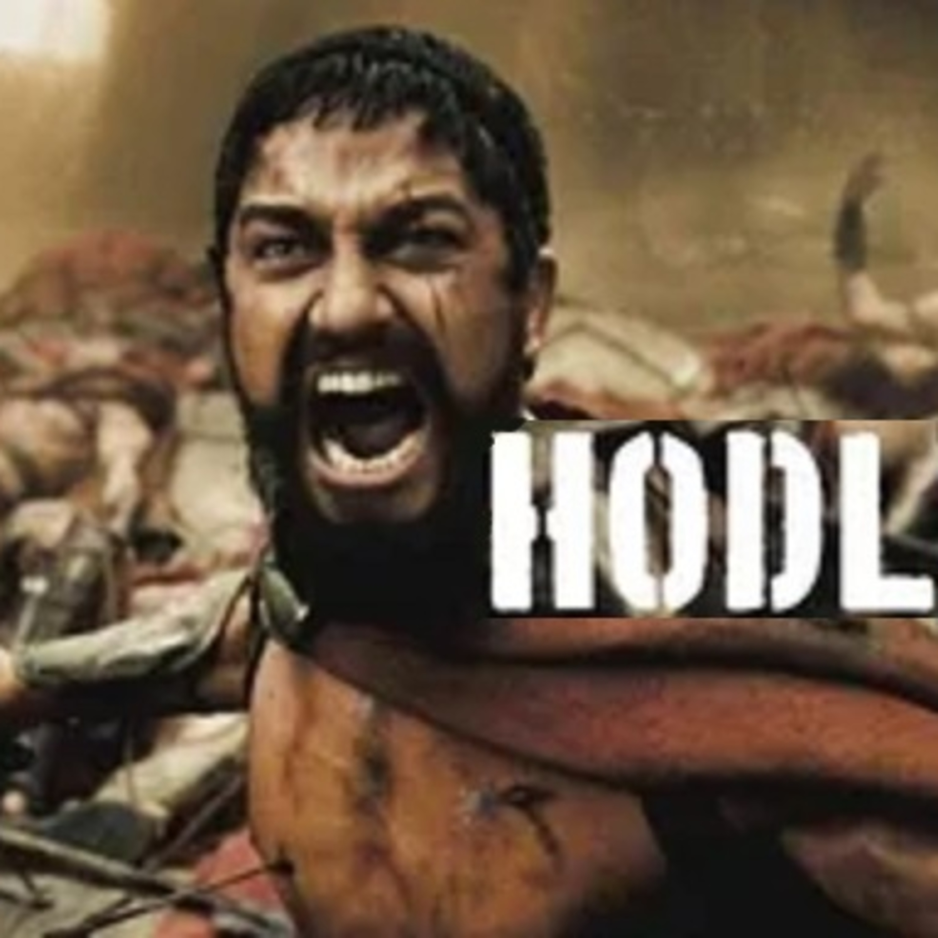 Insane HODL'ers episode artwork