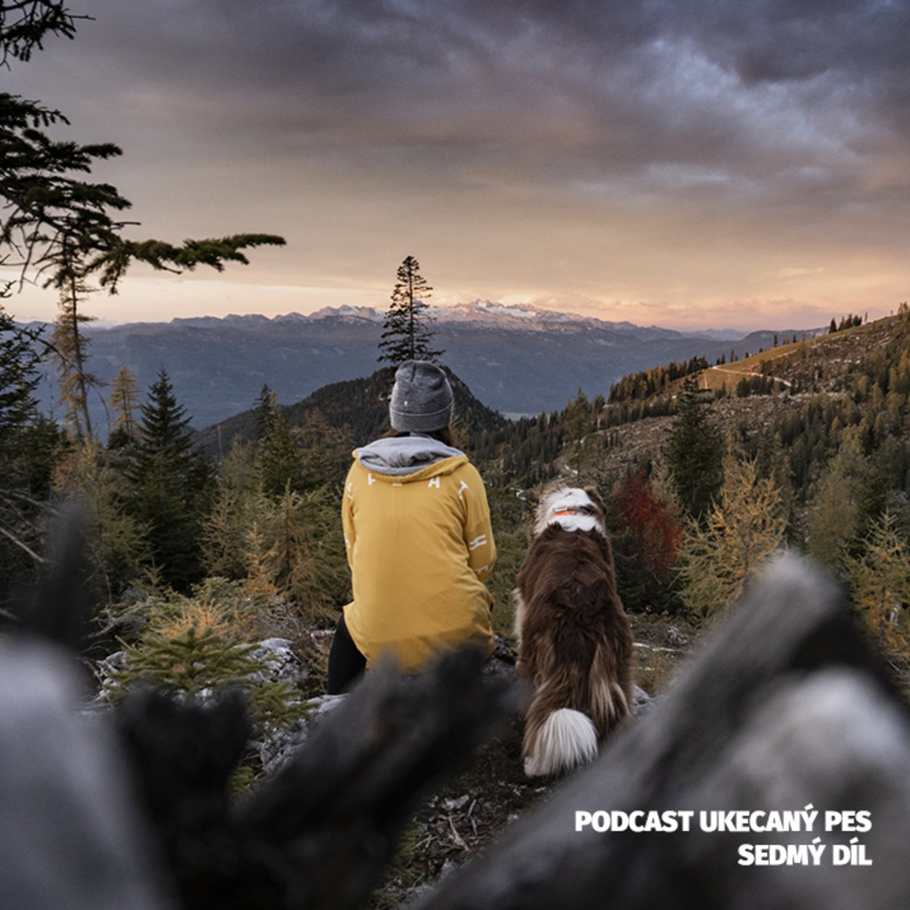 Ukecaný pes - podcast Spokojeného psa