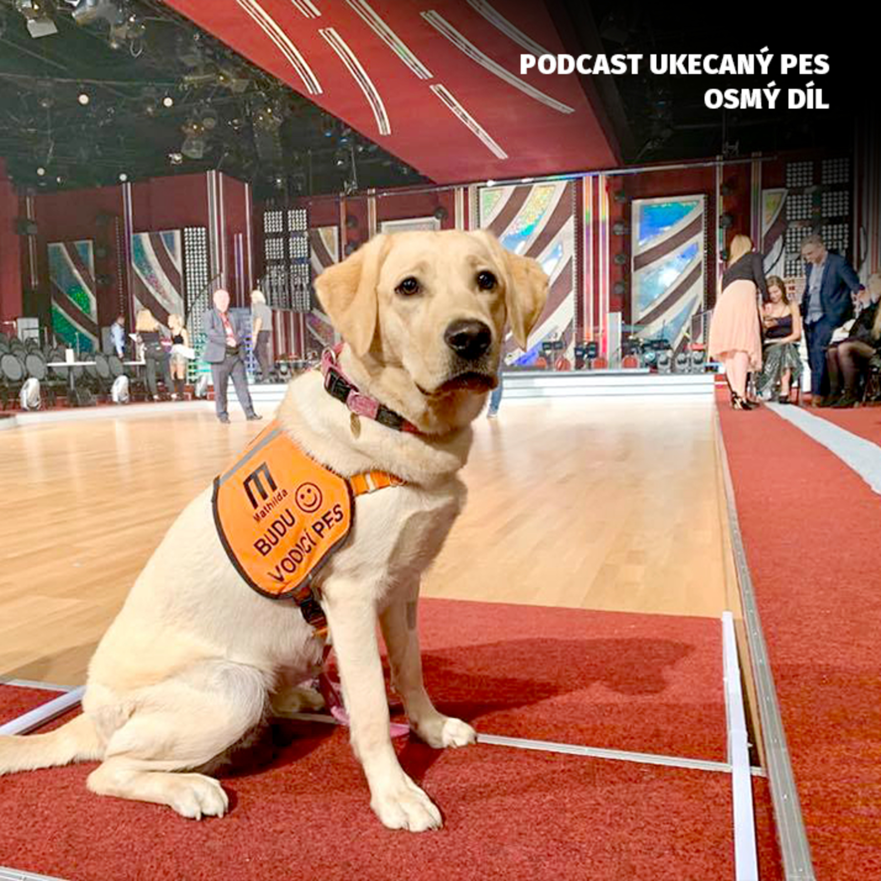 Ukecaný pes - podcast Spokojeného psa