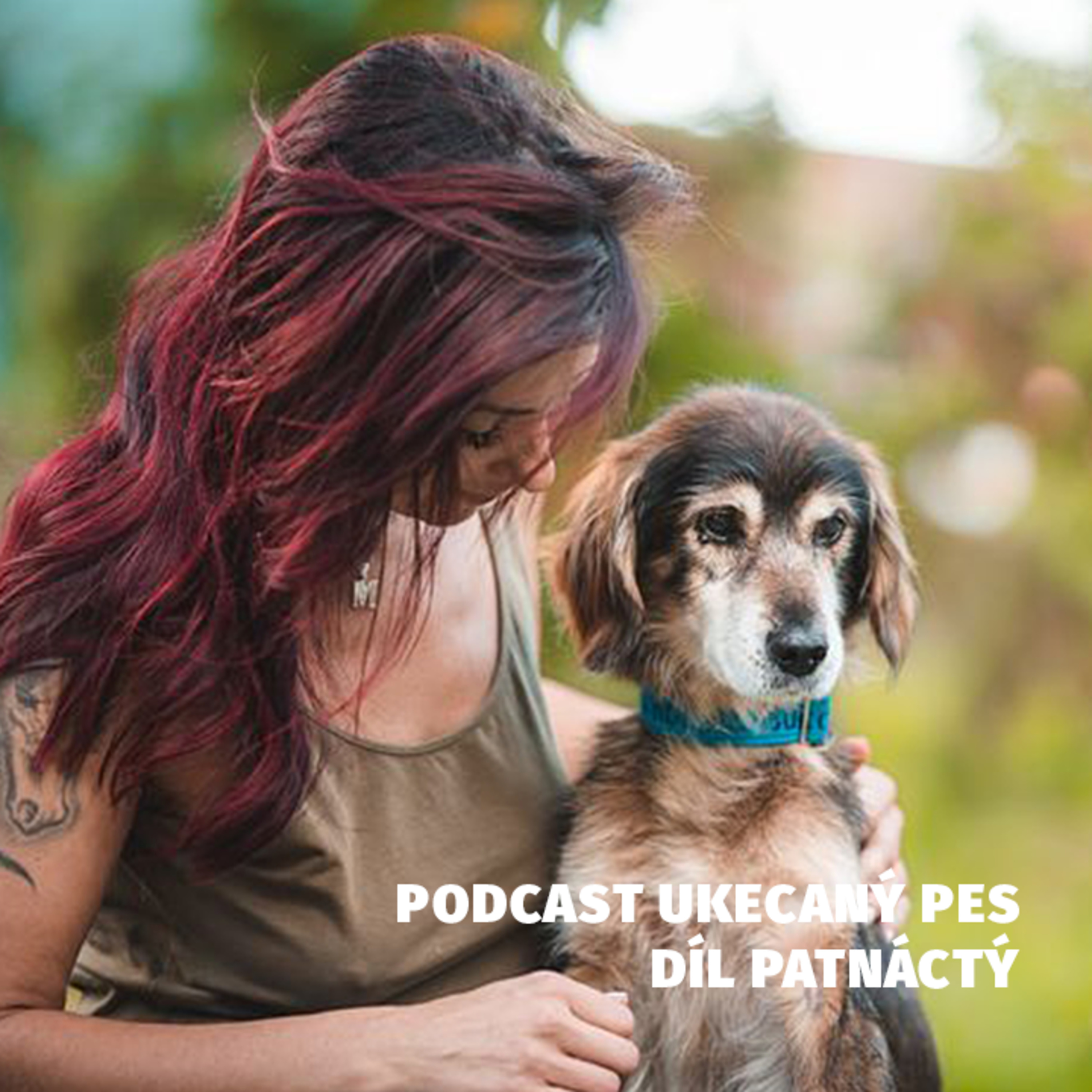 Ukecaný pes - podcast Spokojeného psa