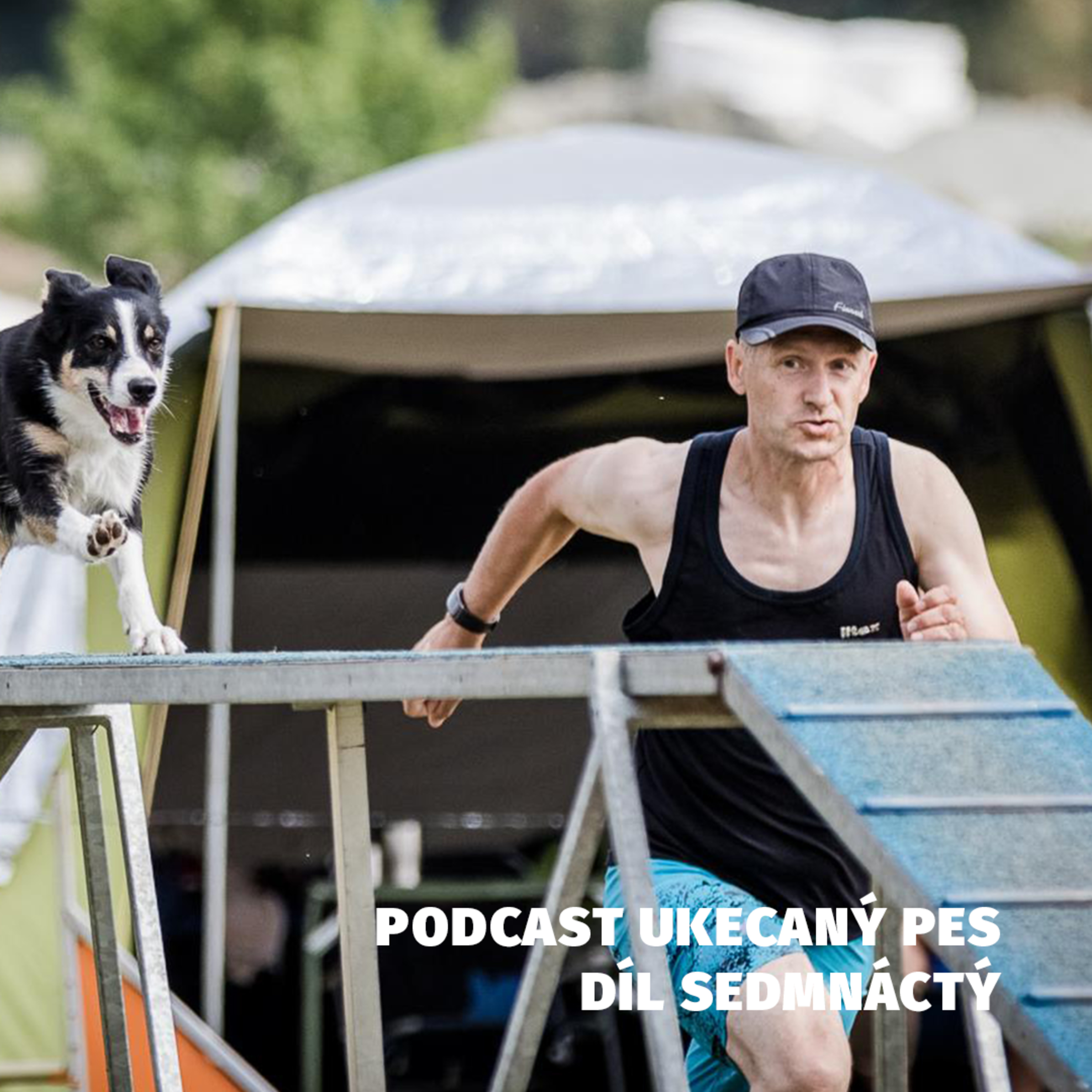 Ukecaný pes - podcast Spokojeného psa