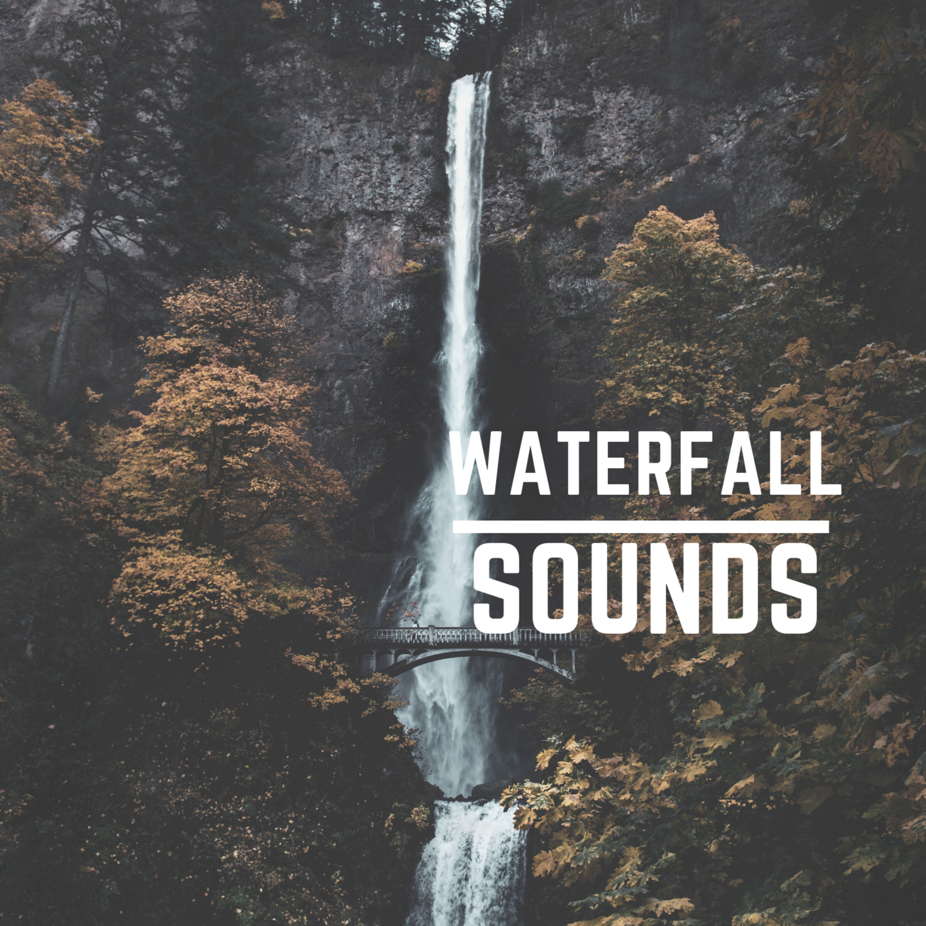 Waterfall episode artwork