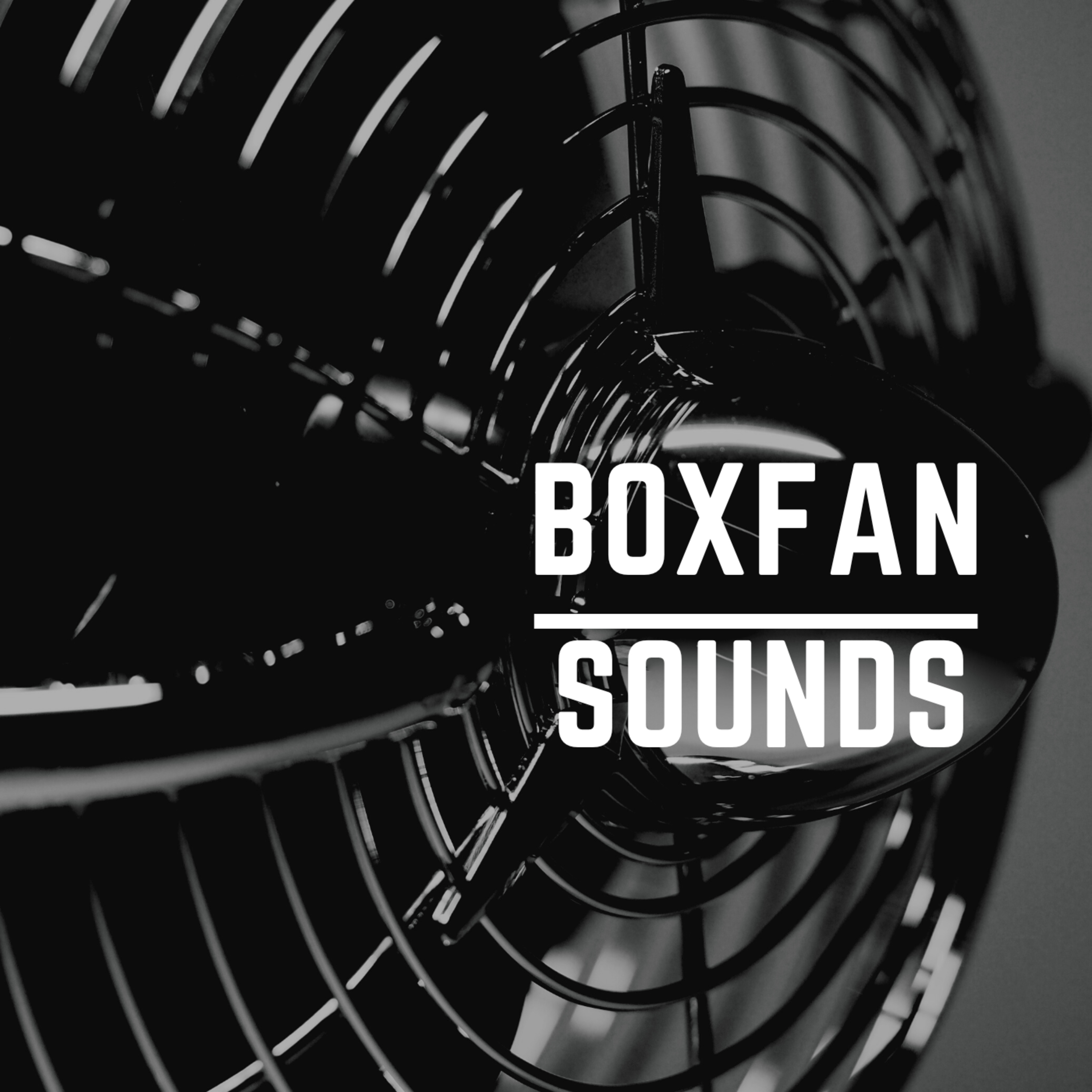Box Fan episode artwork