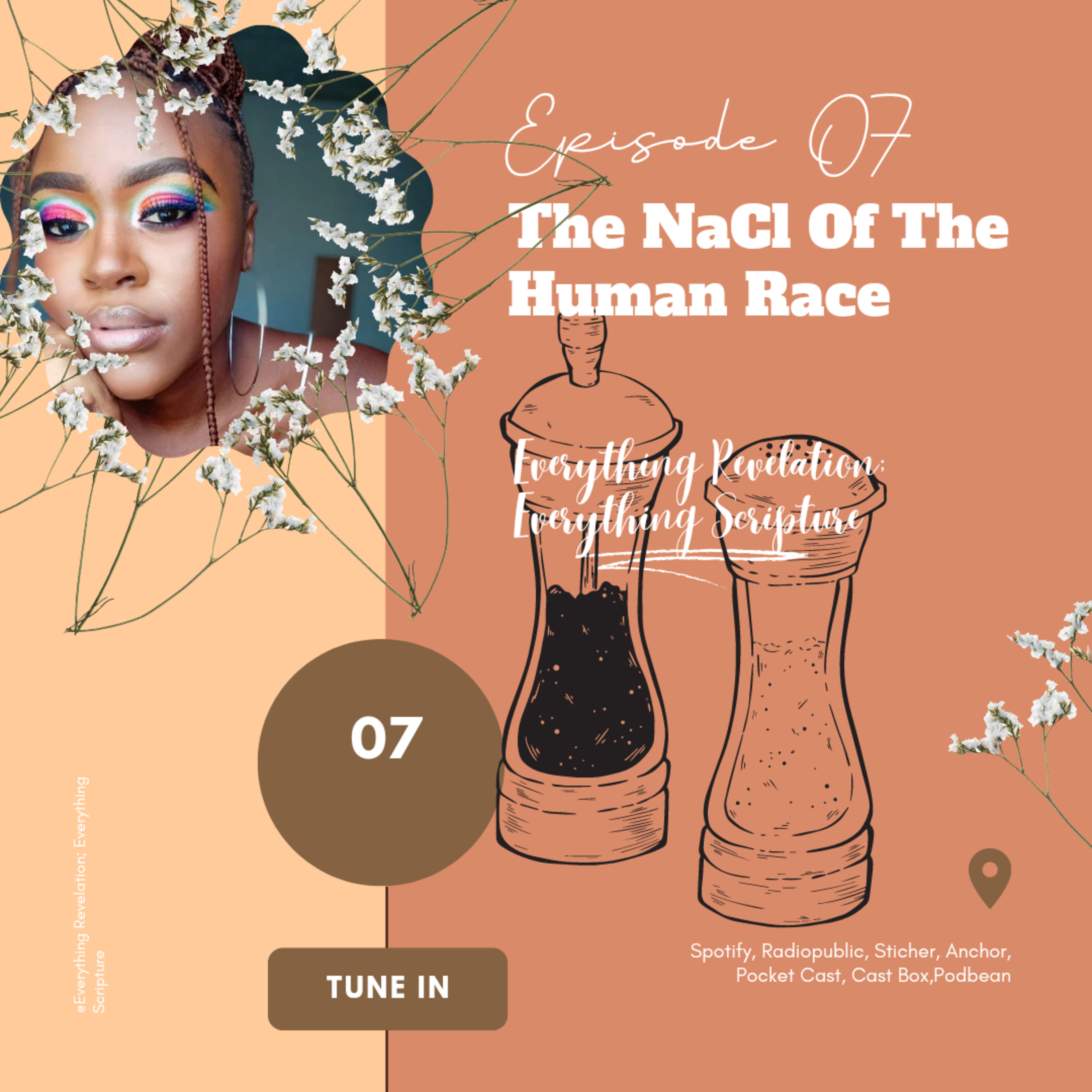 The NaCl Of The Human Race  episode artwork