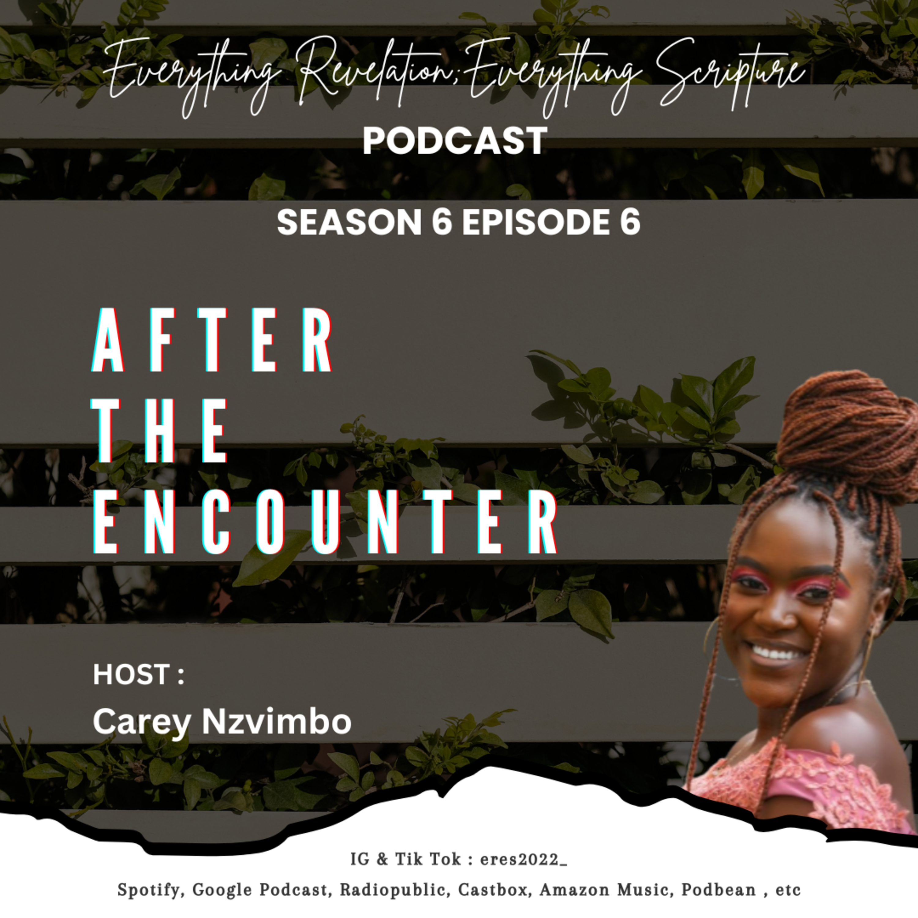 After The Encounter  episode artwork