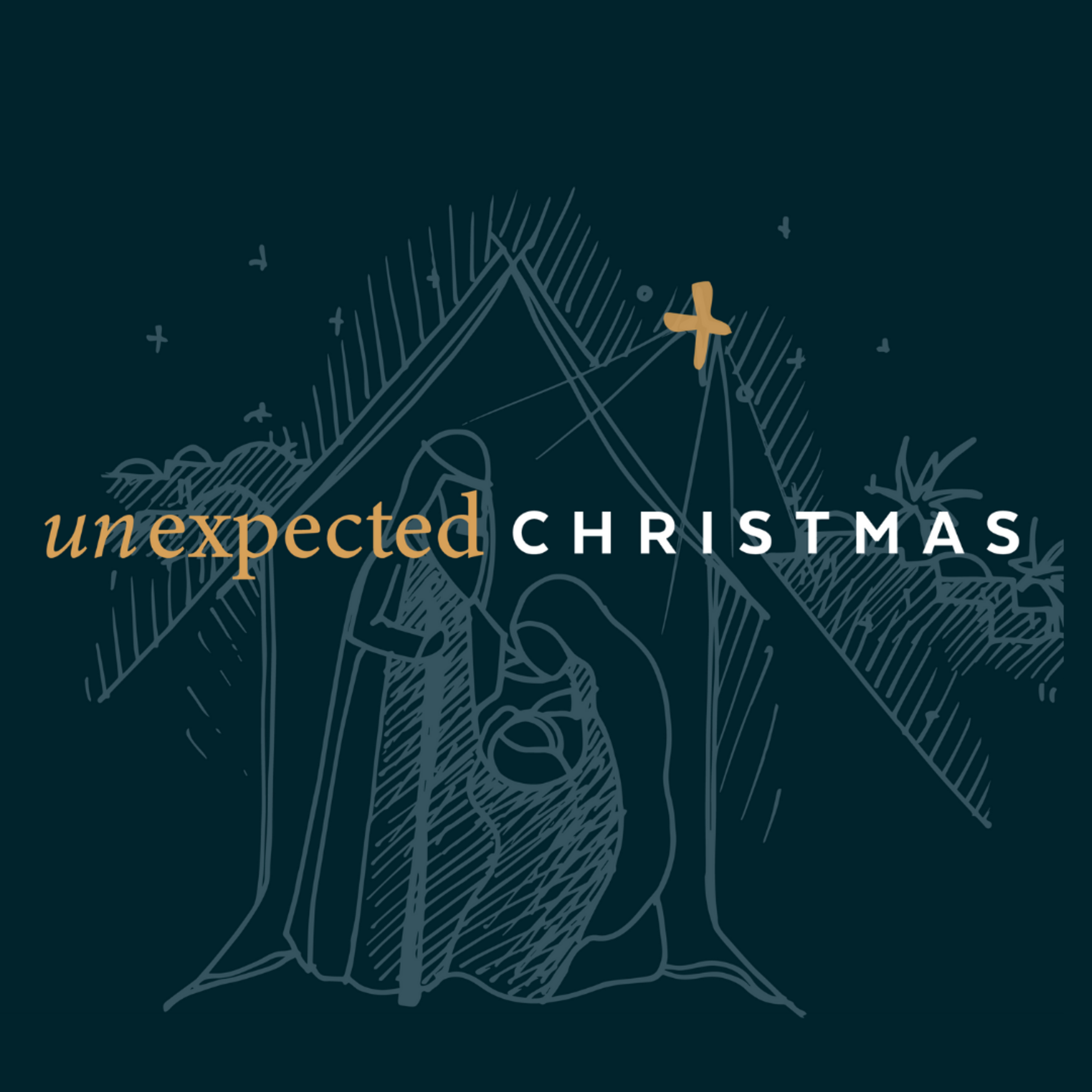 Luke 2:1-21 - Unexpected Joy: Christmas Through the Eyes of the Shepherds (12/13/20)  episode artwork