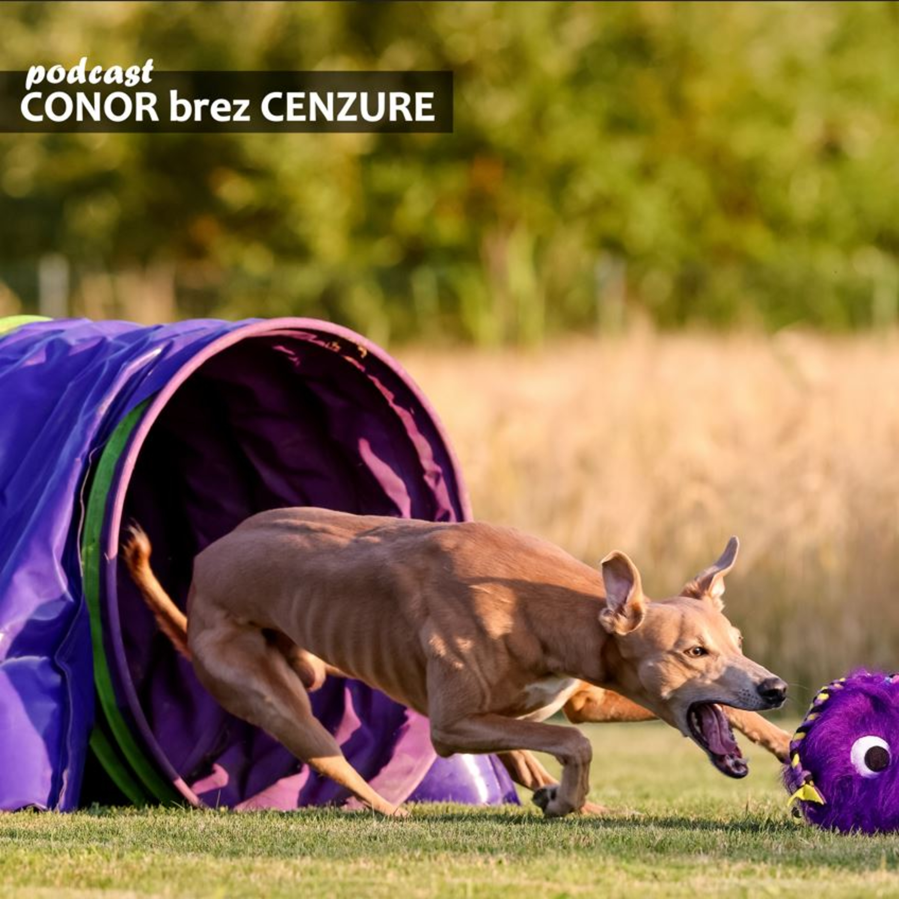Conor brez cenzure