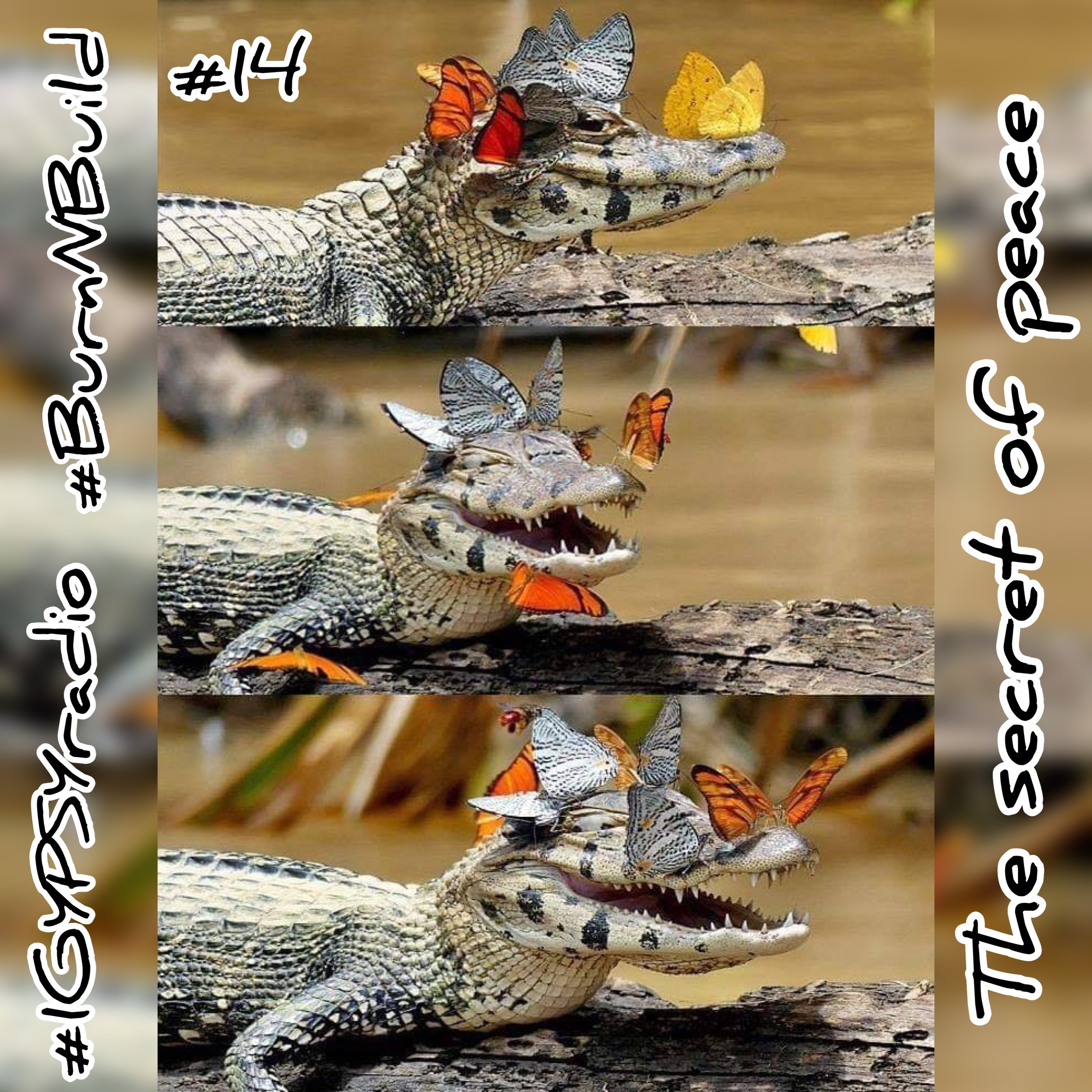 1GypsyRadio