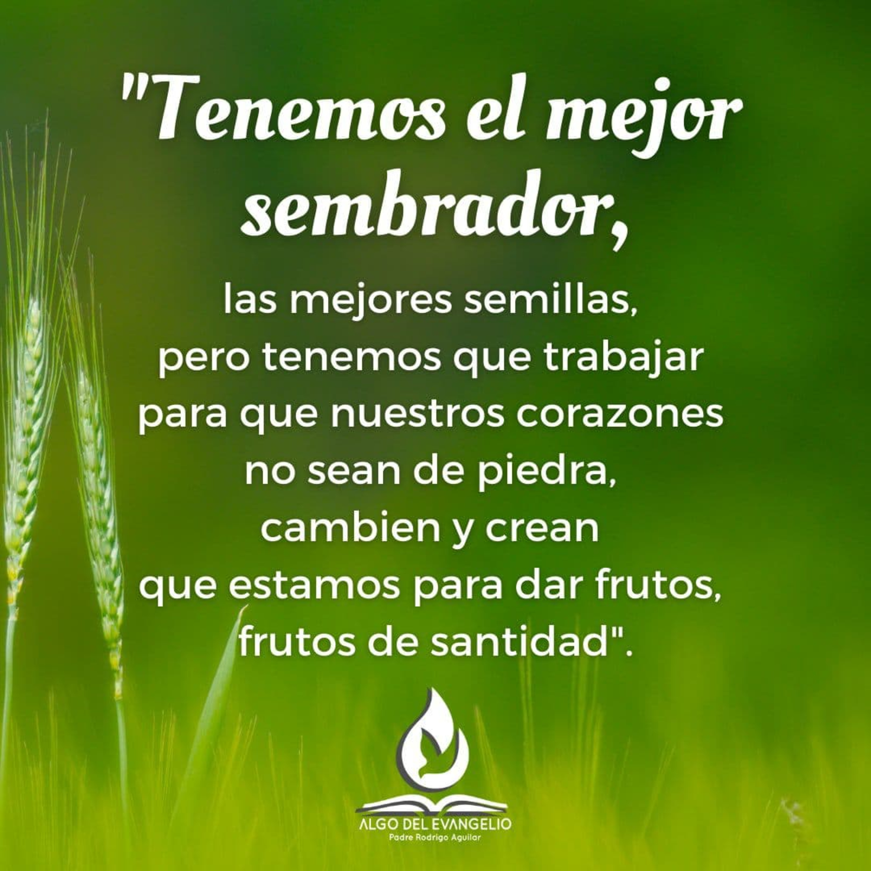 Portada de Algo del Evangelio