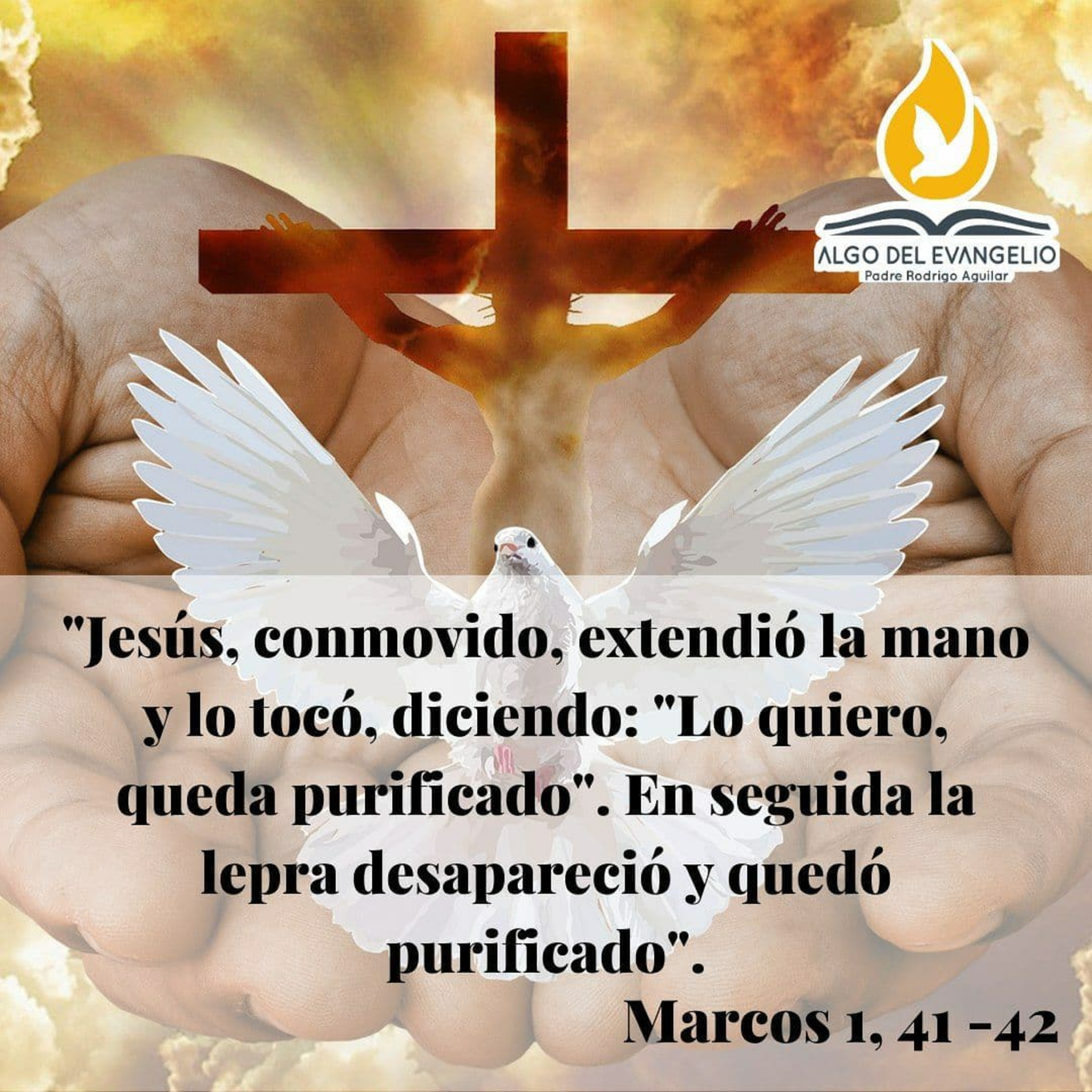 Portada de Algo del Evangelio