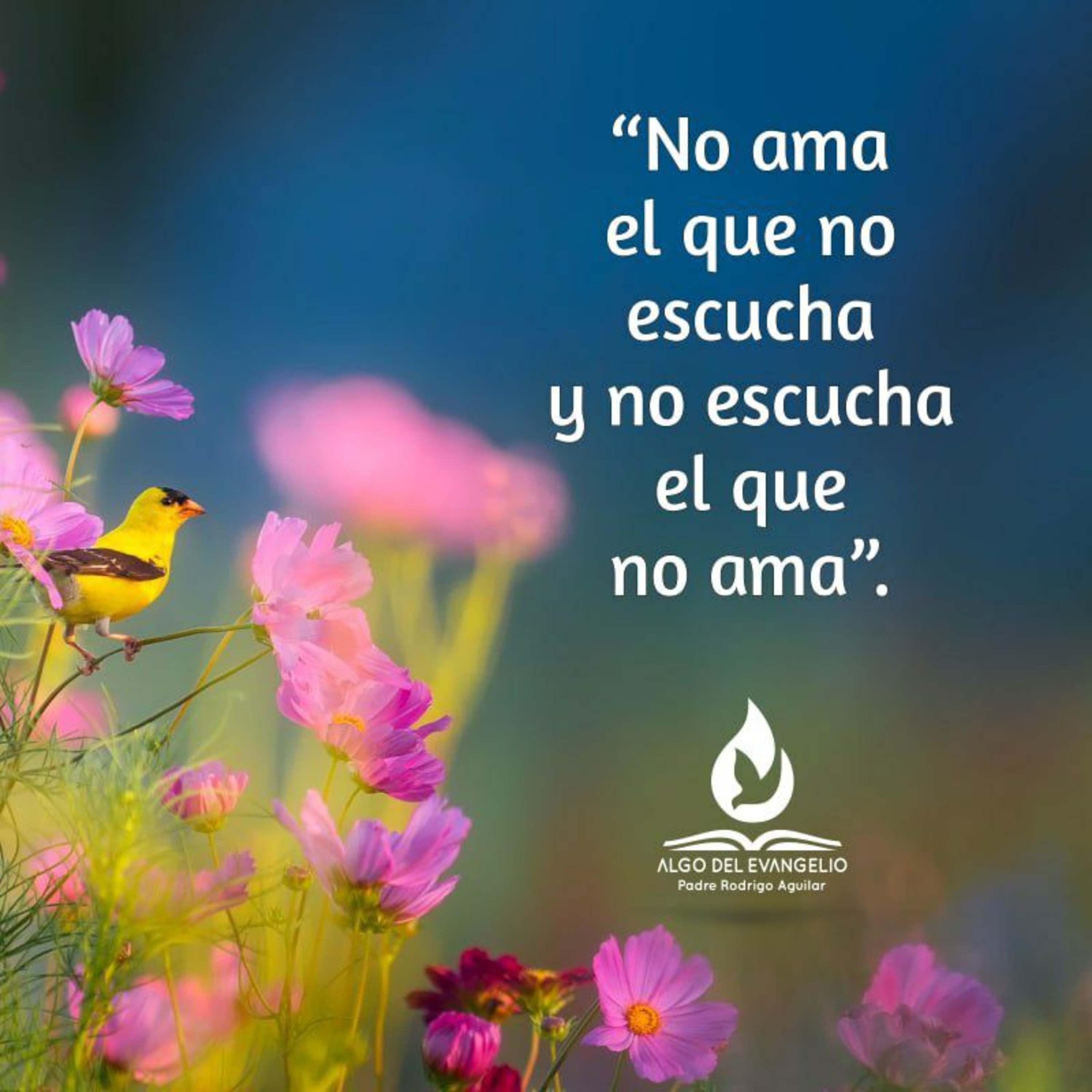 Portada de Algo del Evangelio