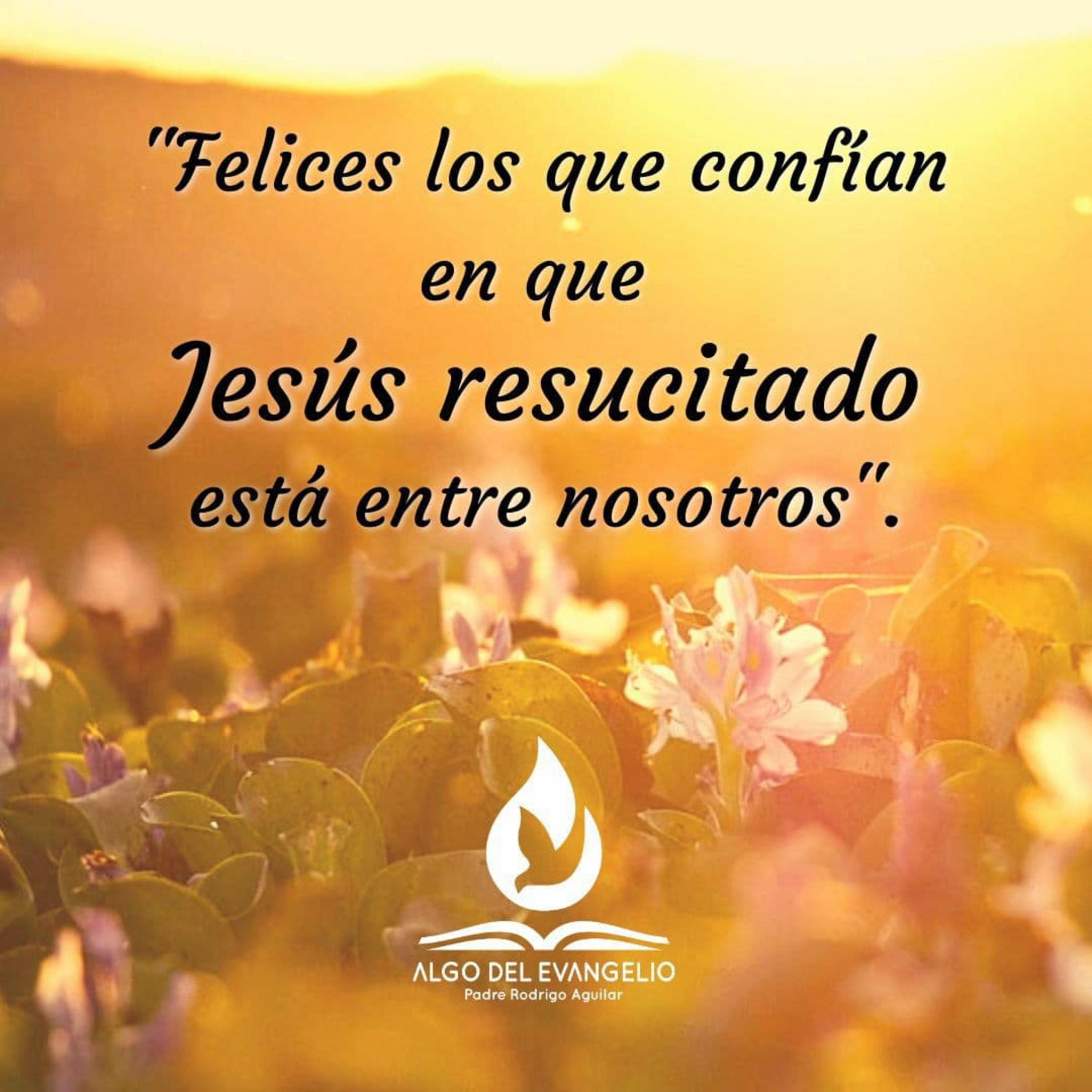 Portada de Algo del Evangelio