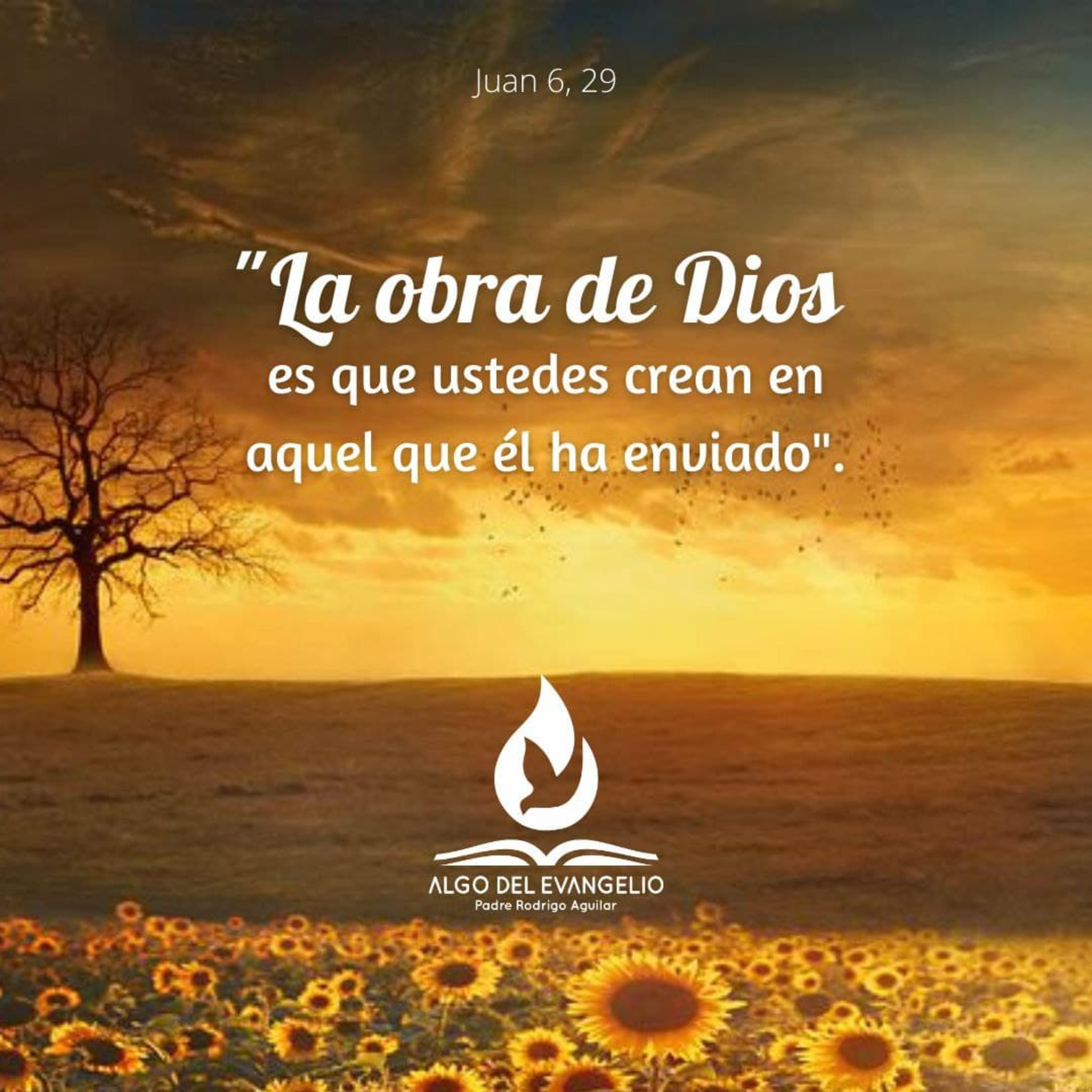 Portada de Algo del Evangelio
