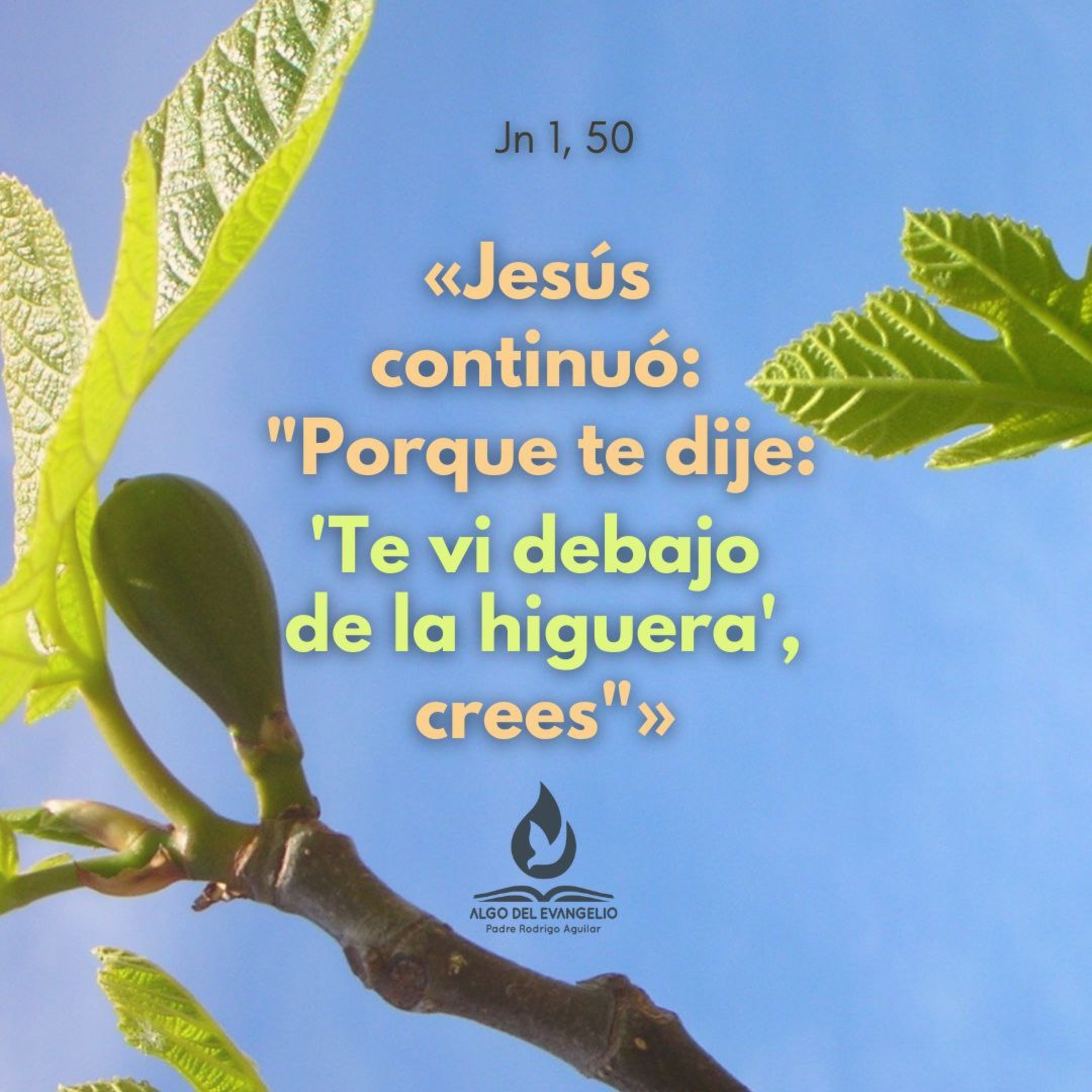 Portada de Algo del Evangelio