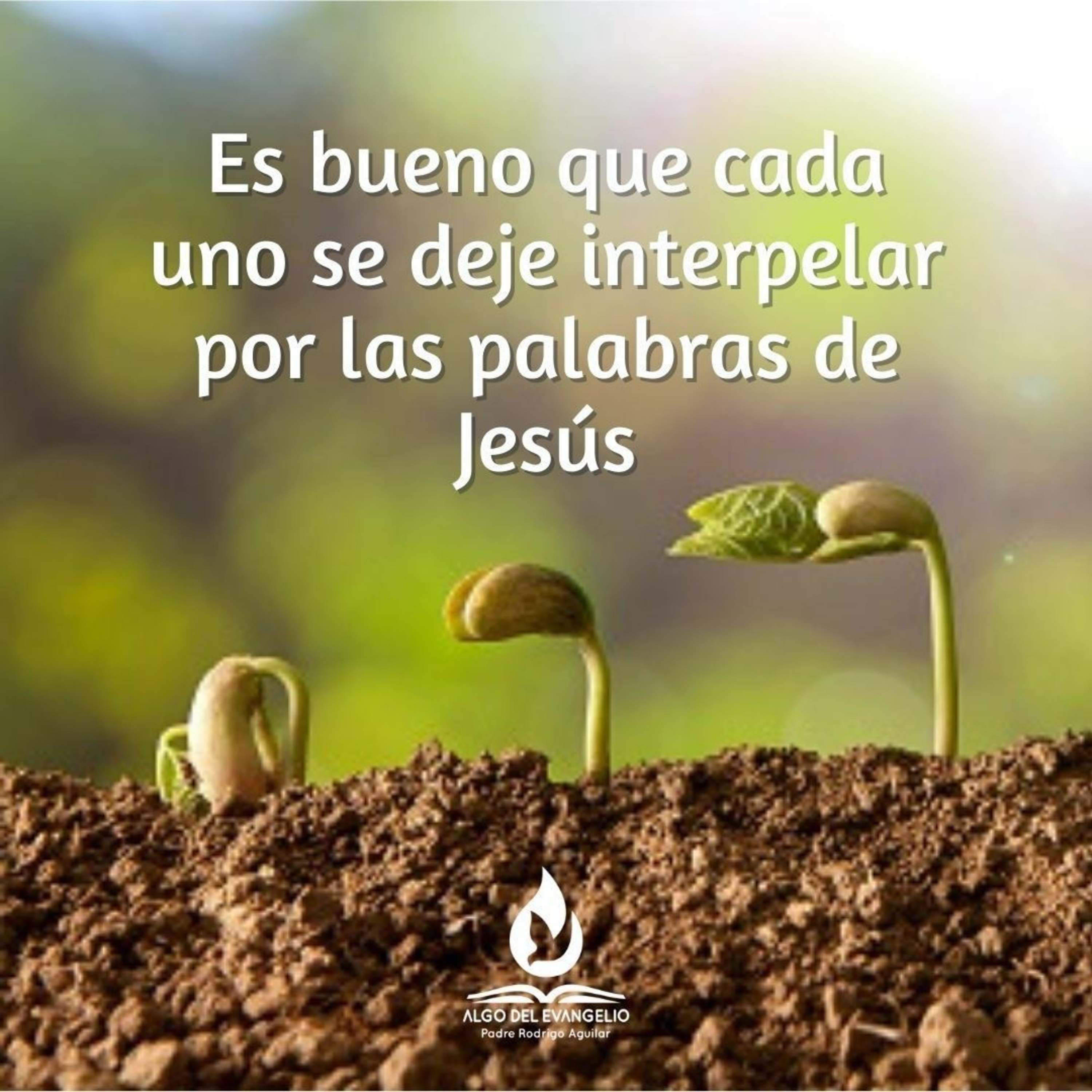 Portada de Algo del Evangelio