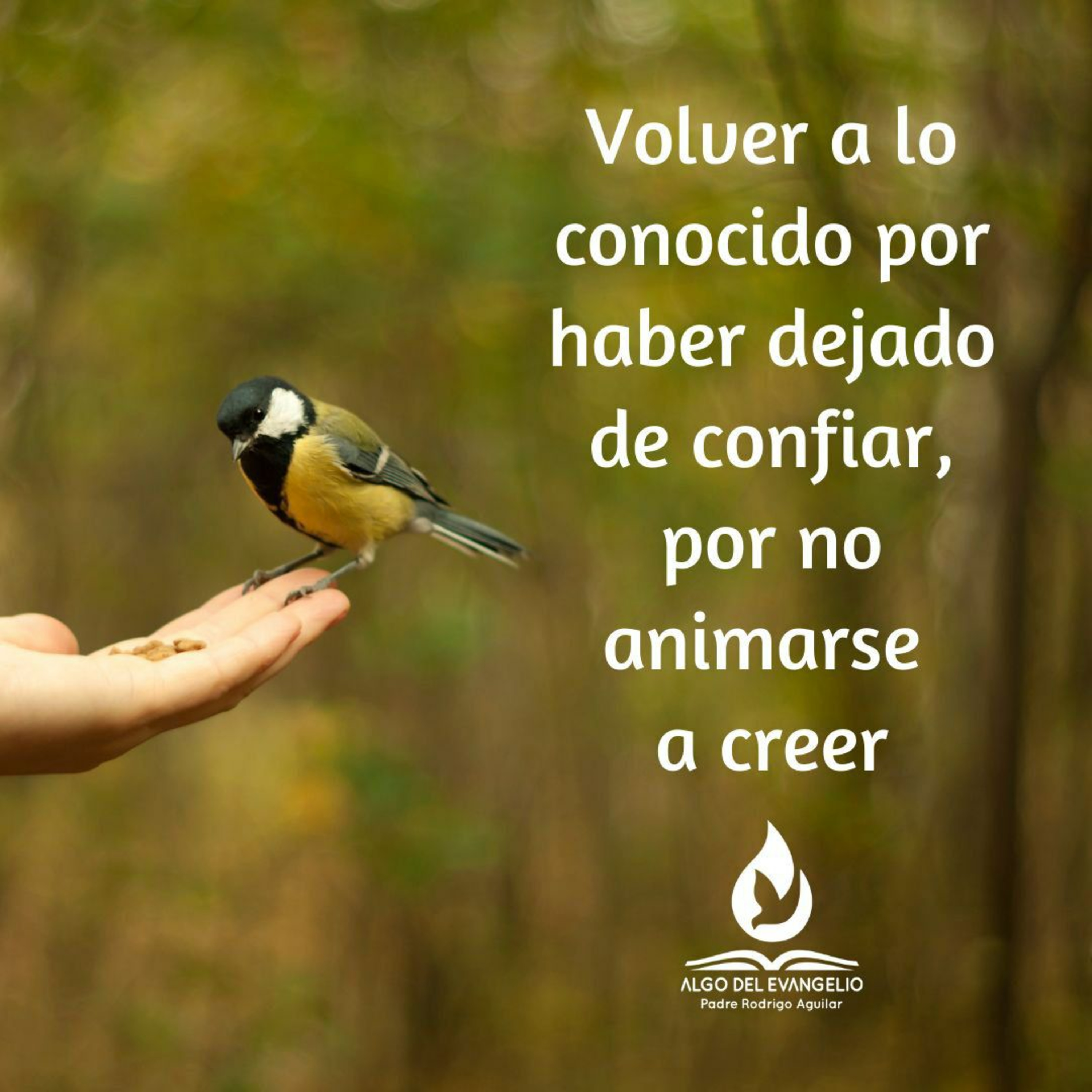 Portada de Algo del Evangelio