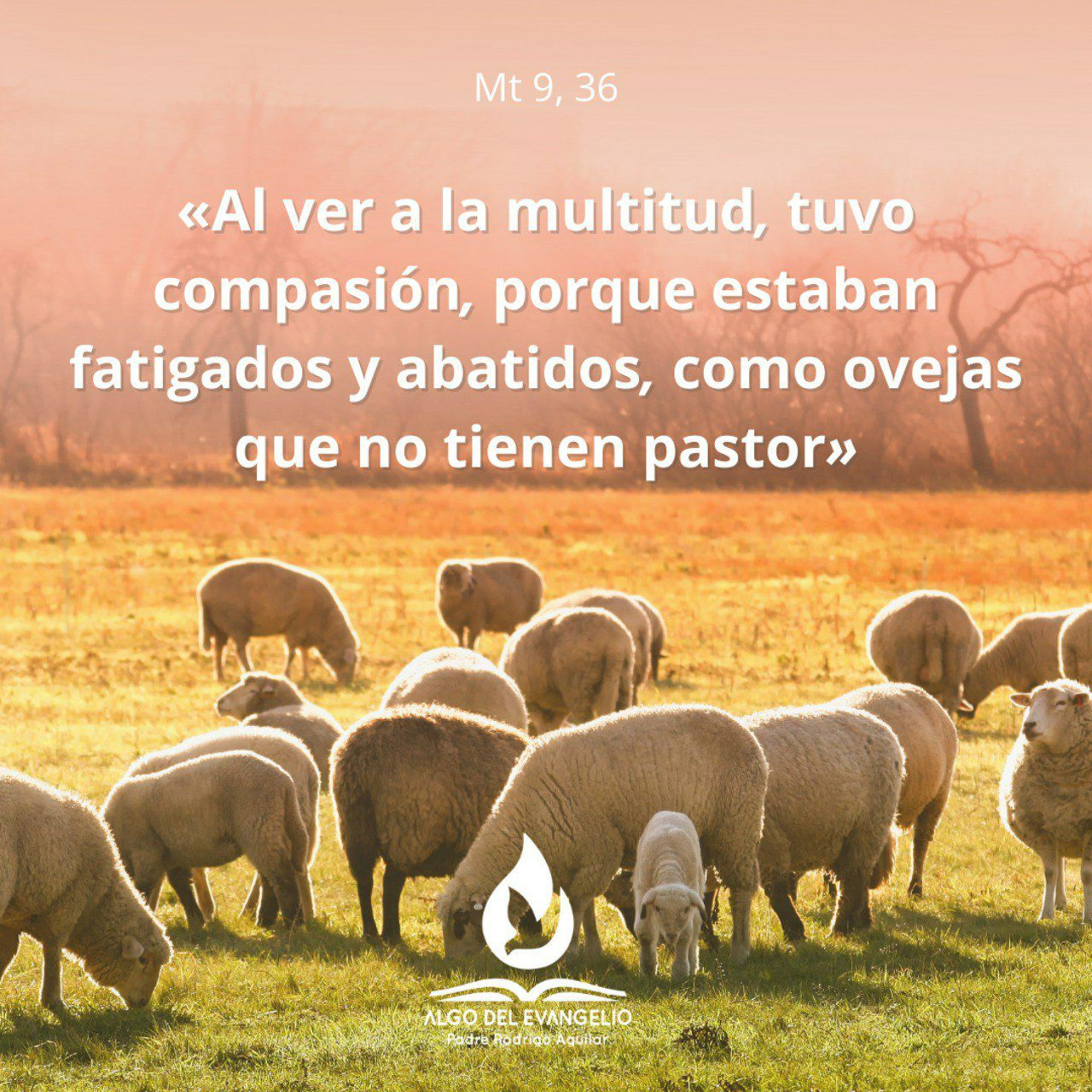 Portada de Algo del Evangelio