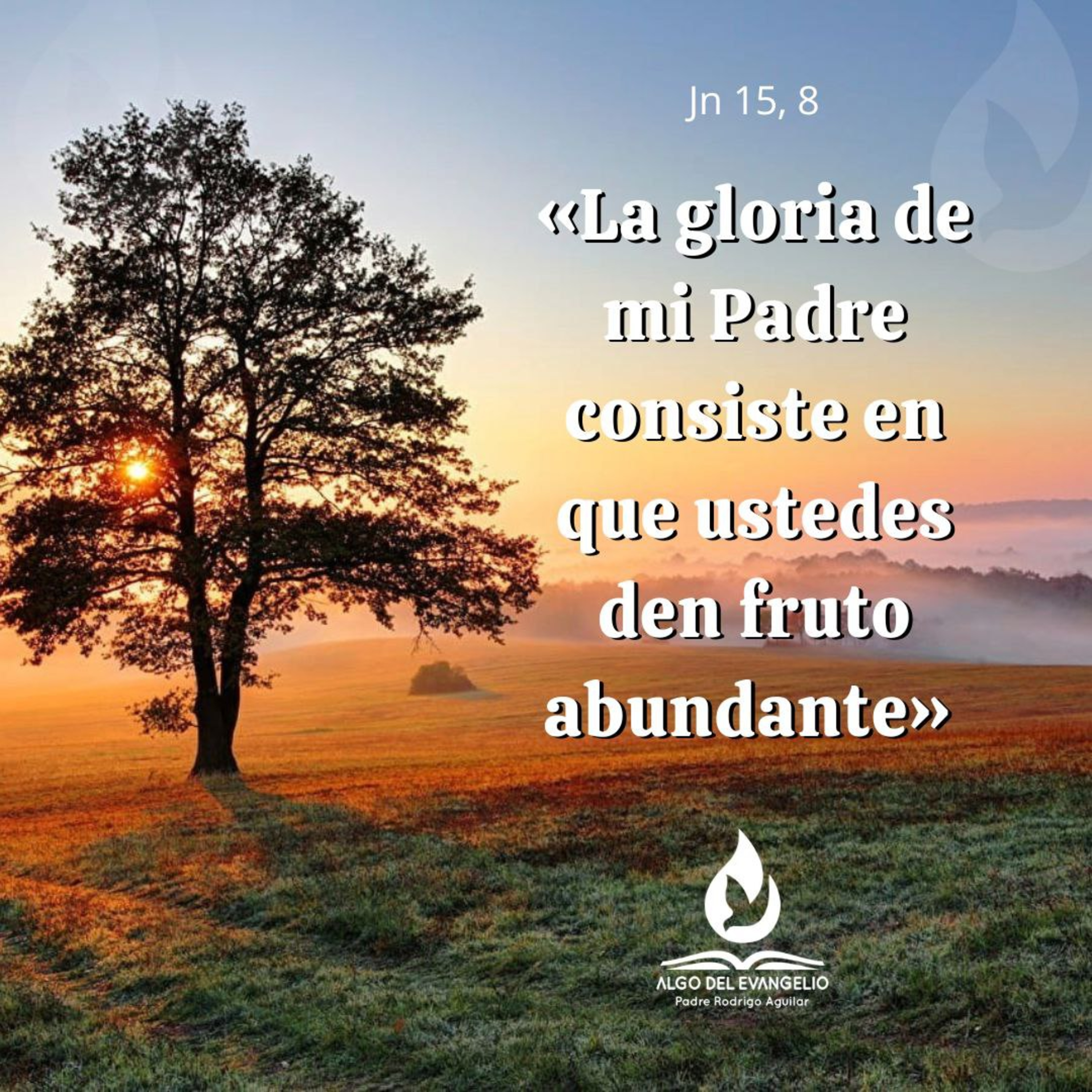 Portada de Algo del Evangelio