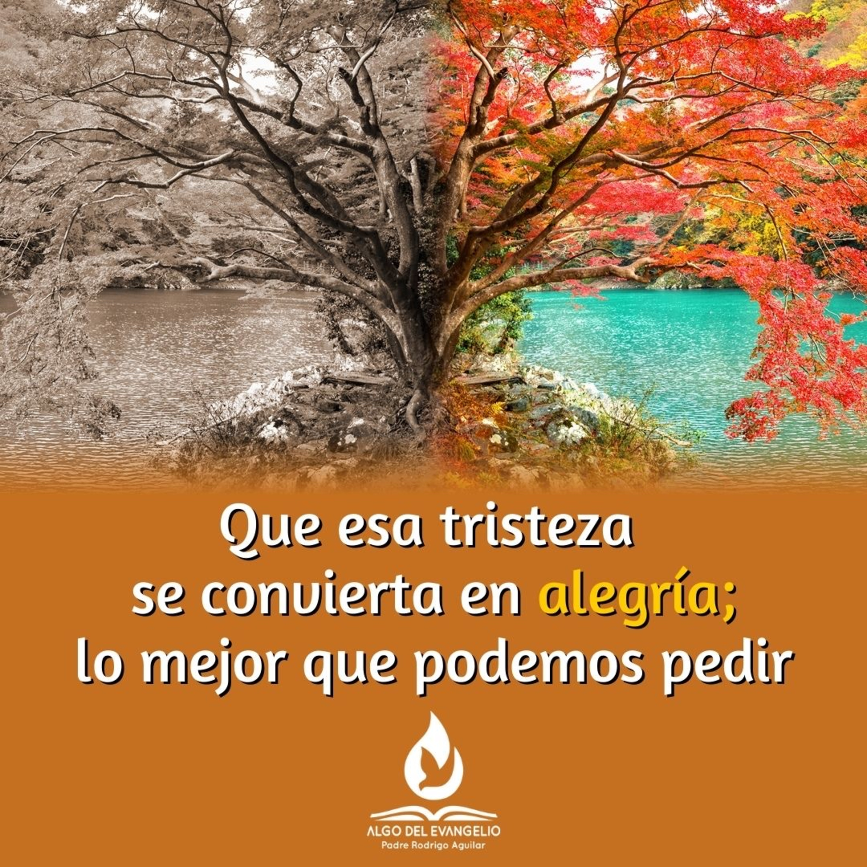Portada de Algo del Evangelio