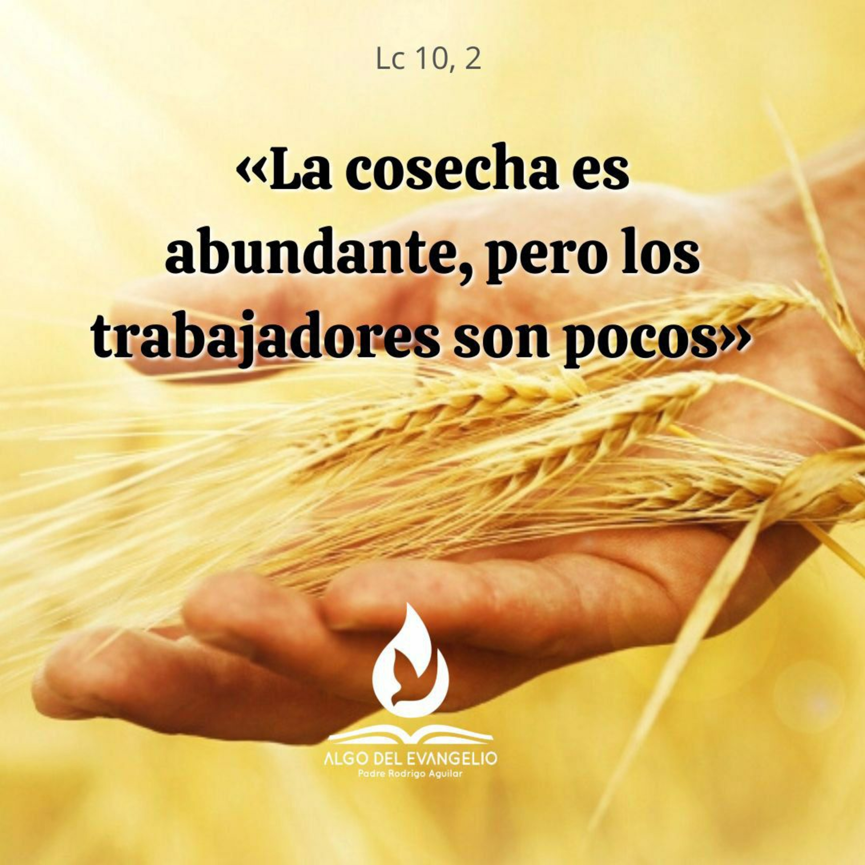 Portada de Algo del Evangelio