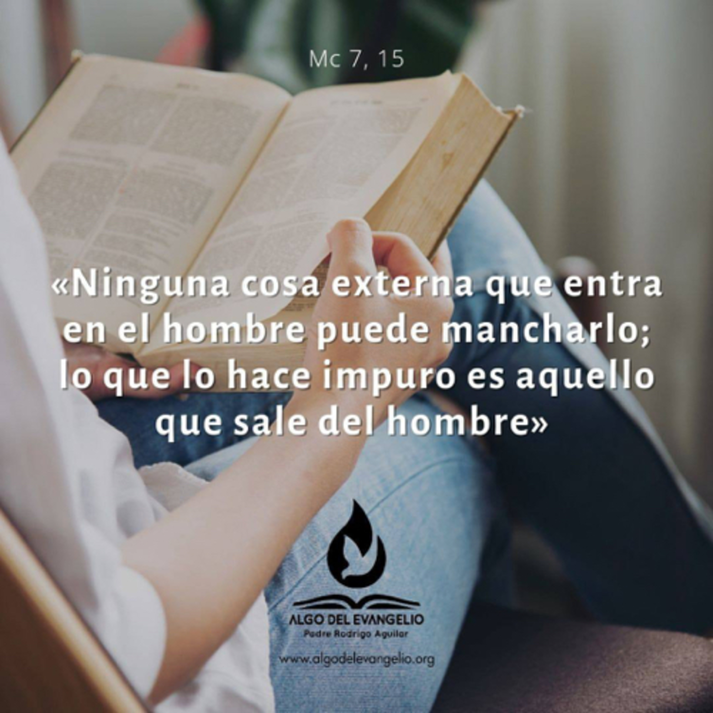 Algo del Evangelio