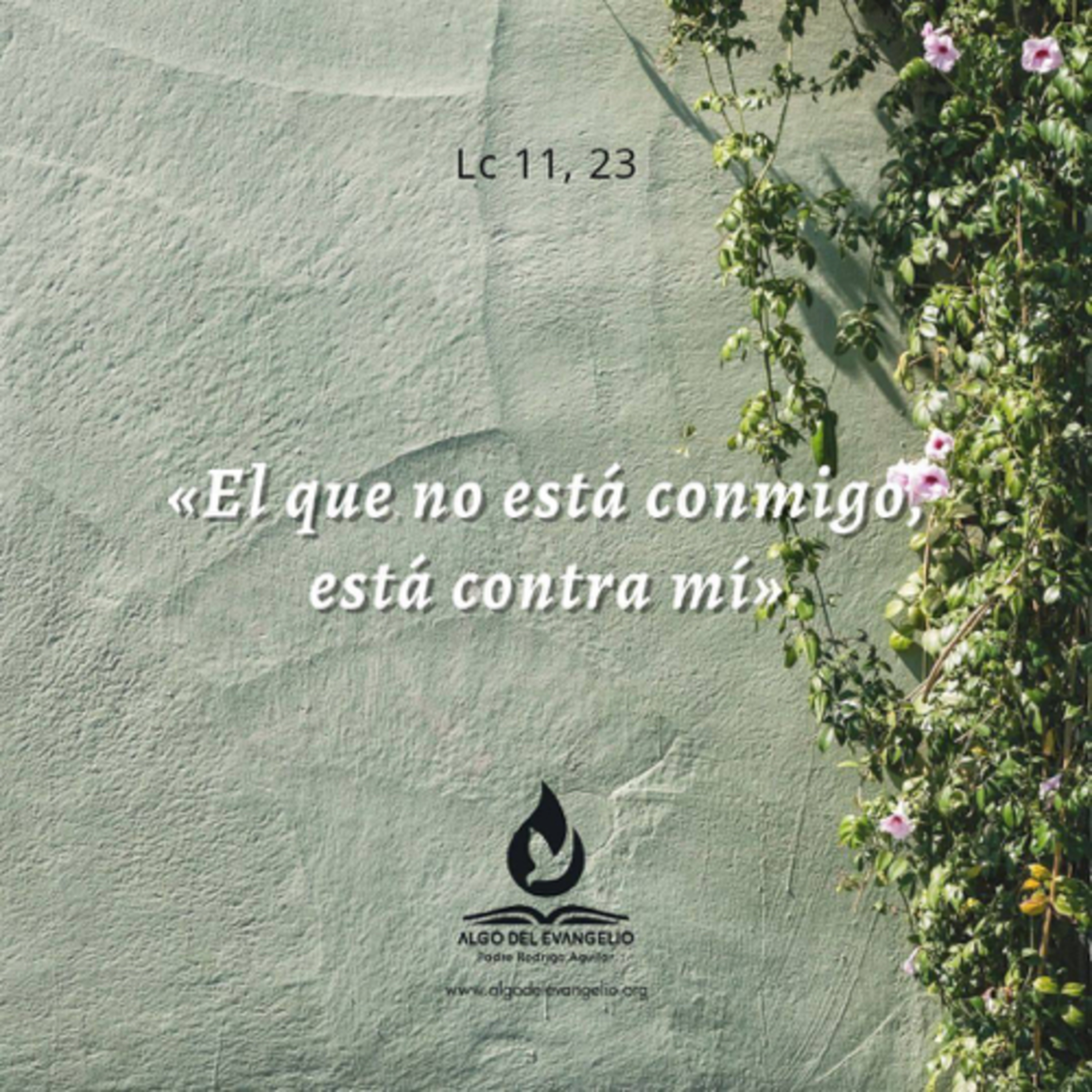 Algo del Evangelio