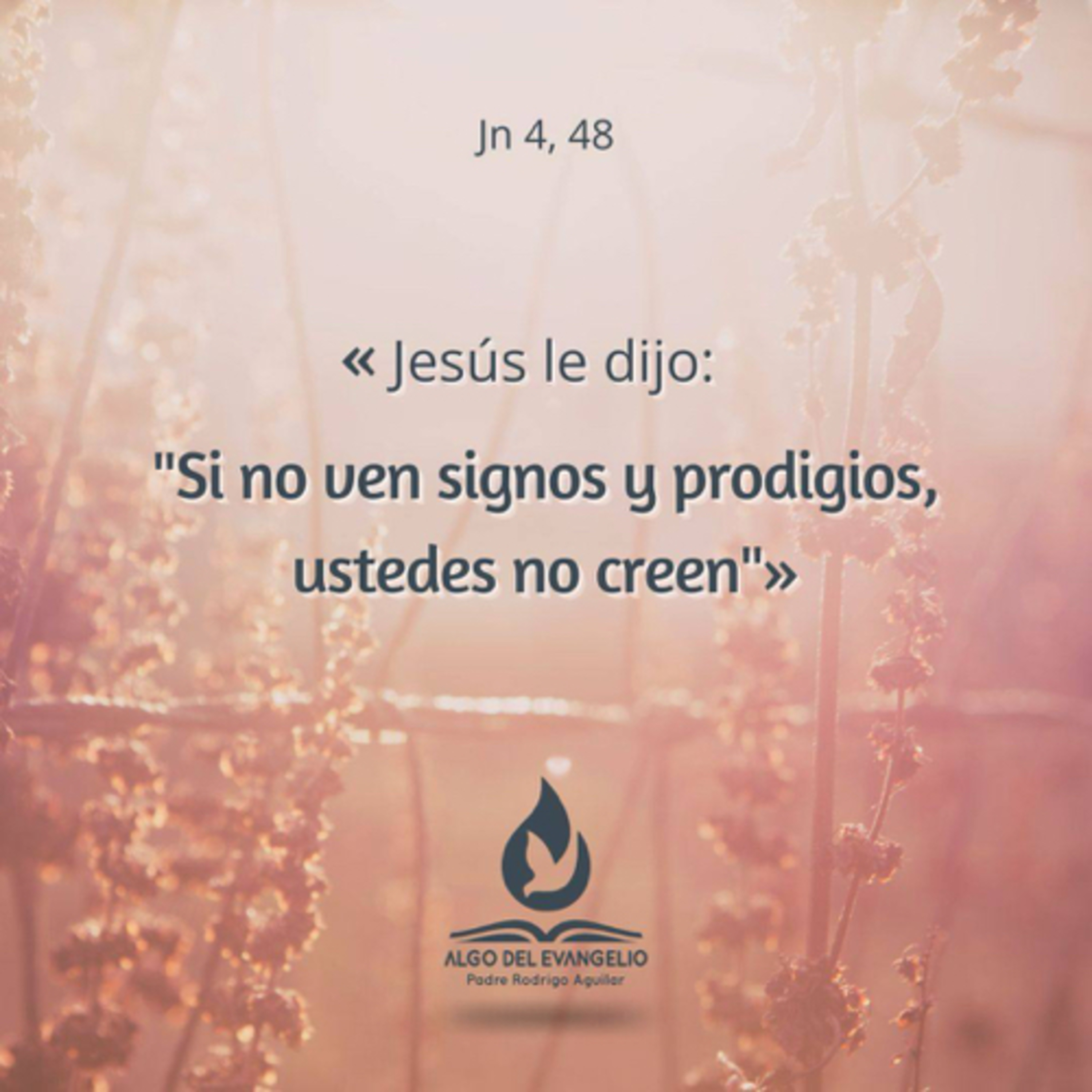 Algo del Evangelio