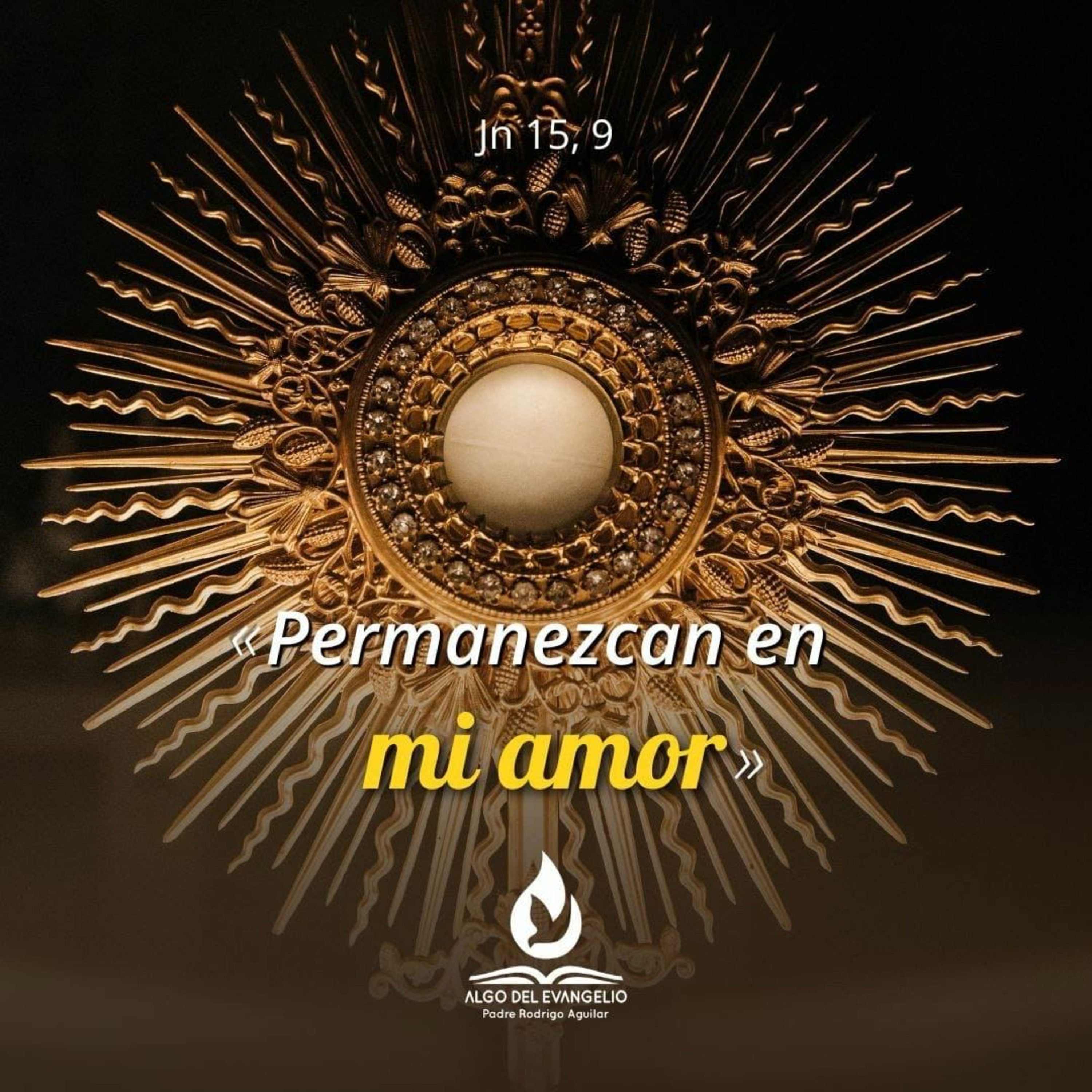 Juan 15, 9-11 - V Jueves de Pascua  episode artwork