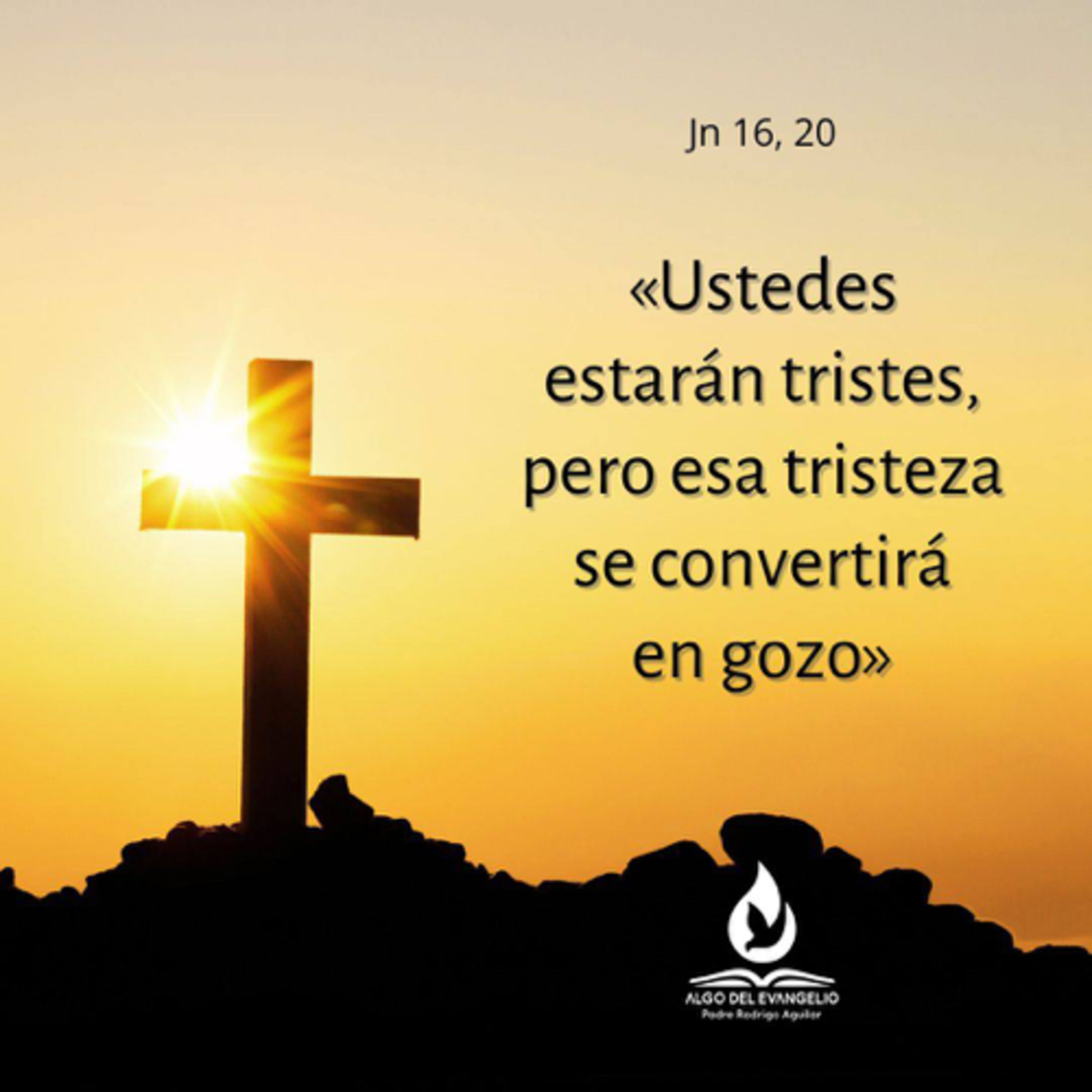 Juan 16, 16-20 - VI Jueves de Pascua  episode artwork