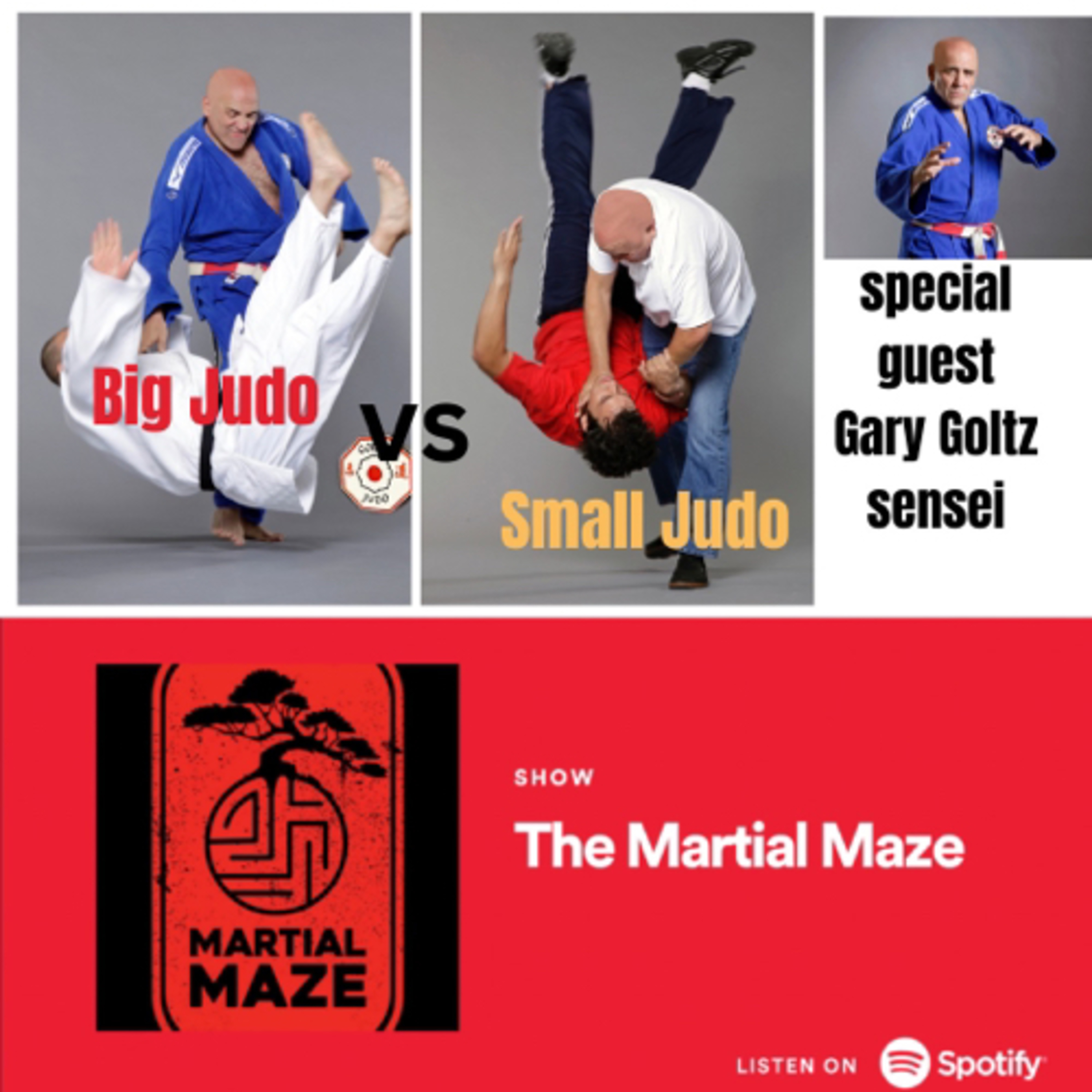 The Martial Maze