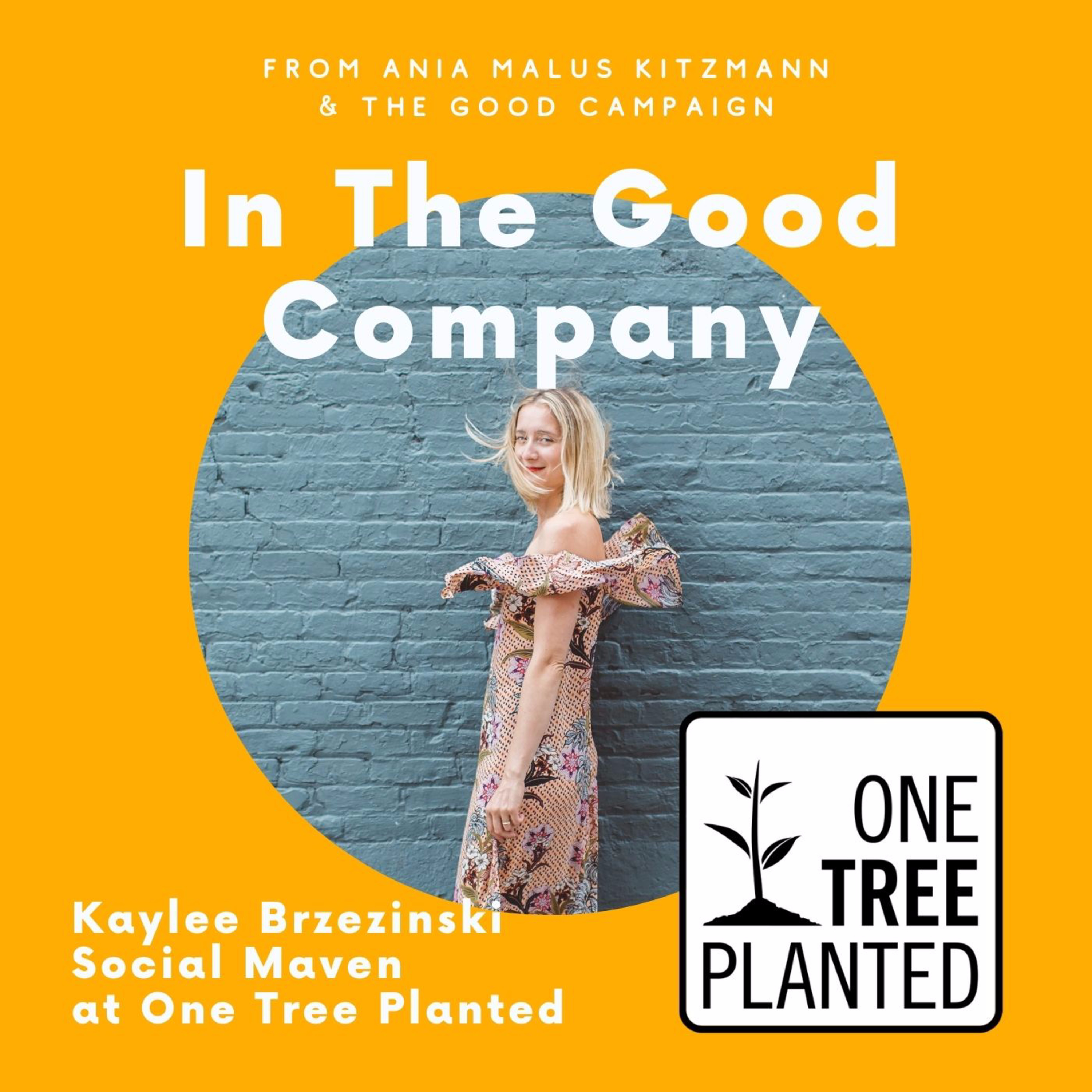 In The Good Company Podcast