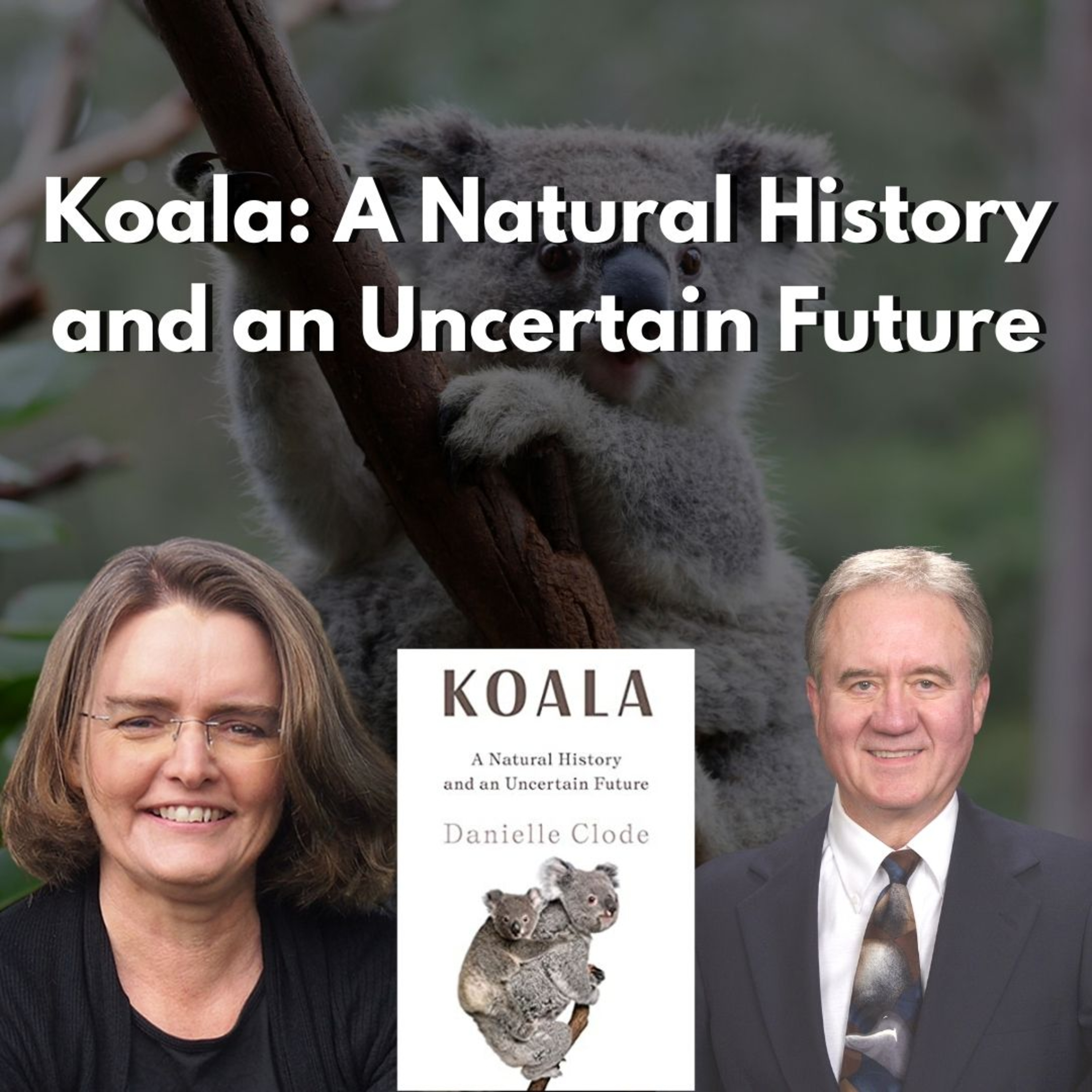 Searching for Integrity