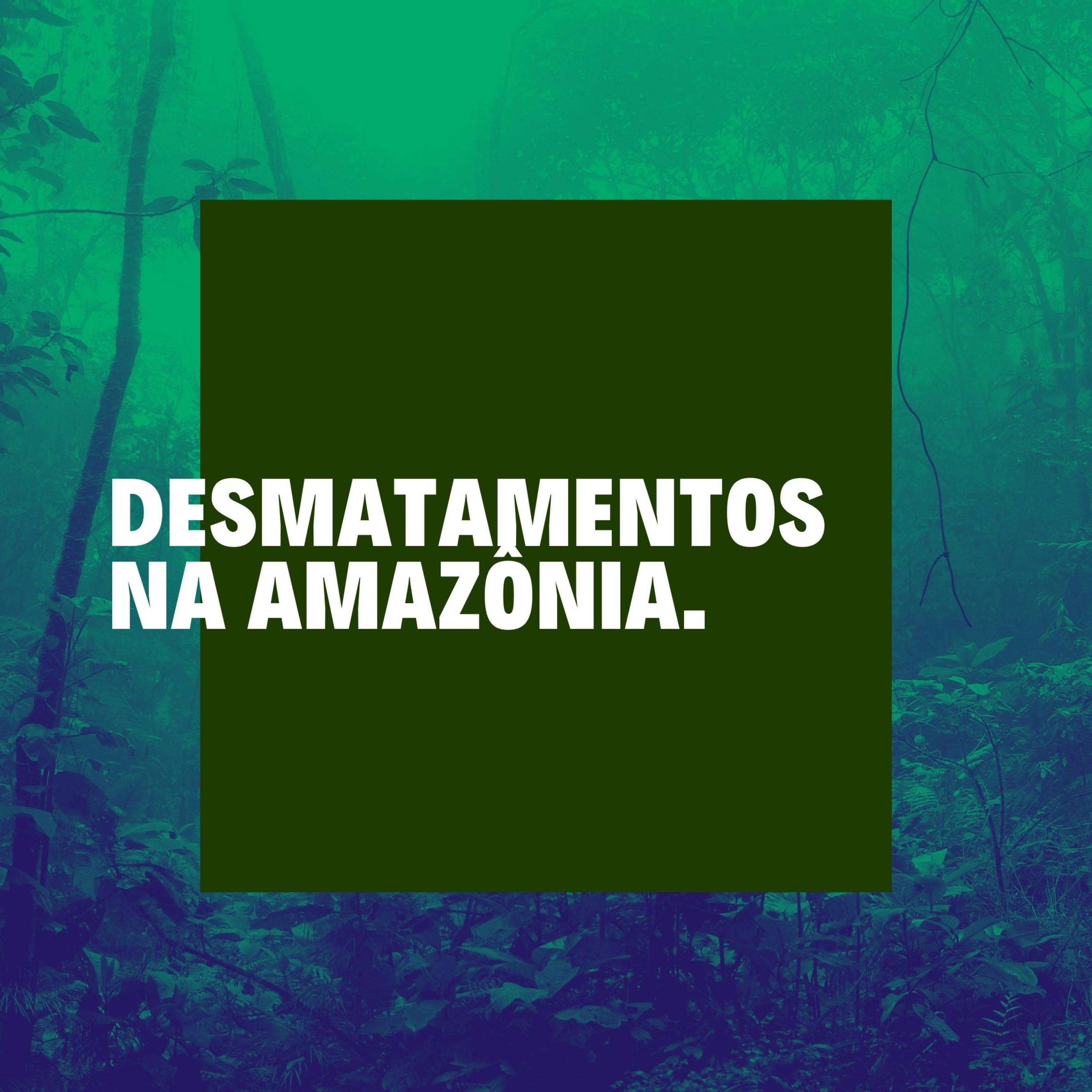 A Lei de Zoneamento Ecológico e Econômico do Maranhão (ZEE-MA) e a ampliação dos desmatamentos na Amazônia. episode artwork