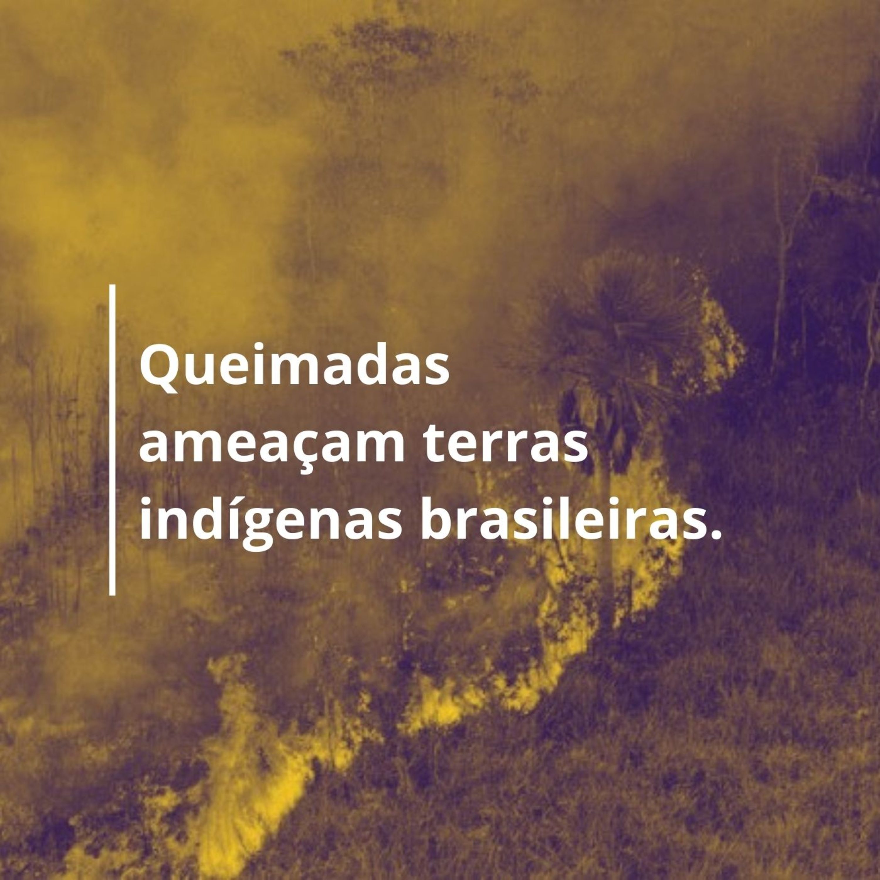 As Queimadas no Pantanal e as Ameaças nas terras indígenas maranhenses. episode artwork