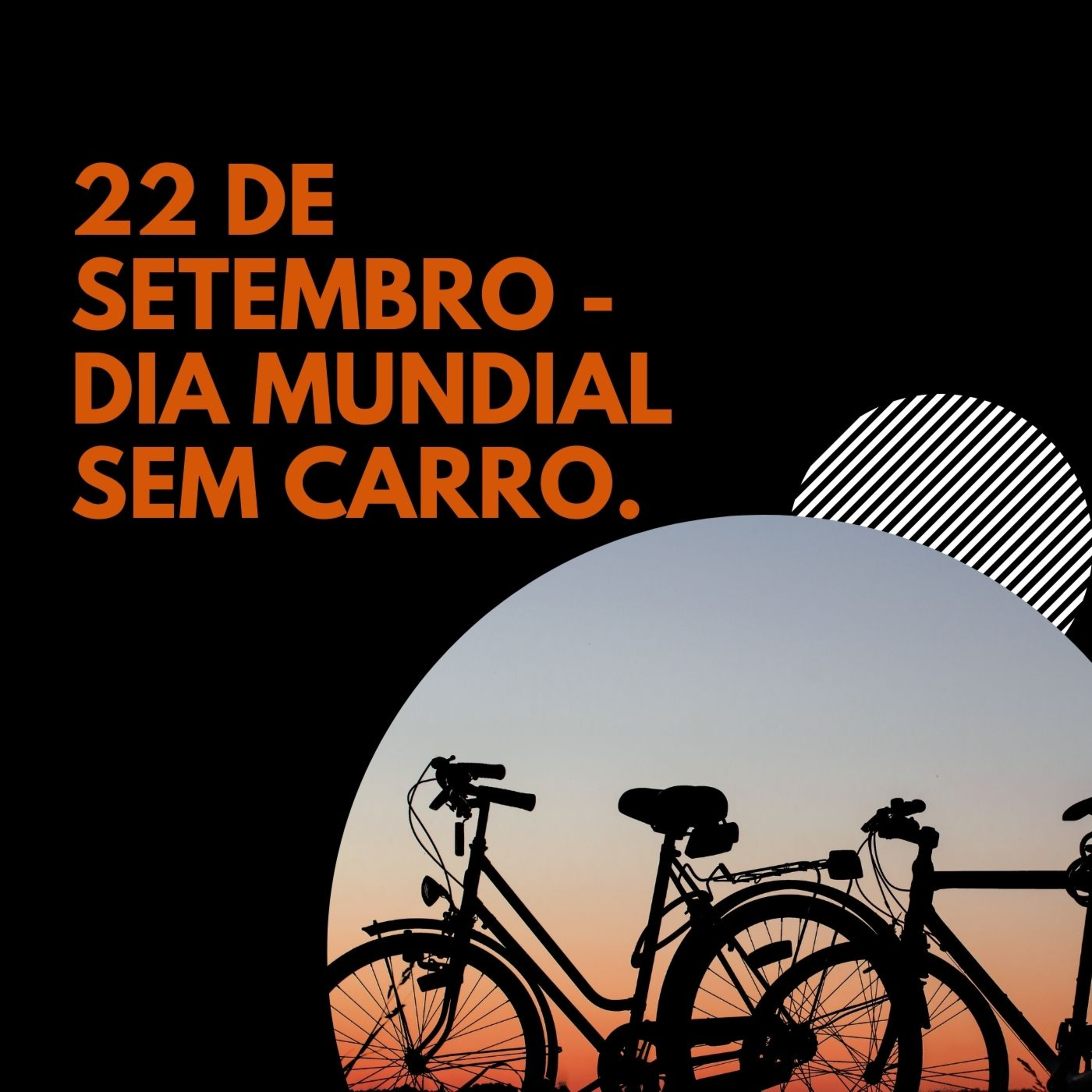O resultado da consulta pública e as propostas prioritárias para criar condições para o uso de bicicletas em São Luís. episode artwork