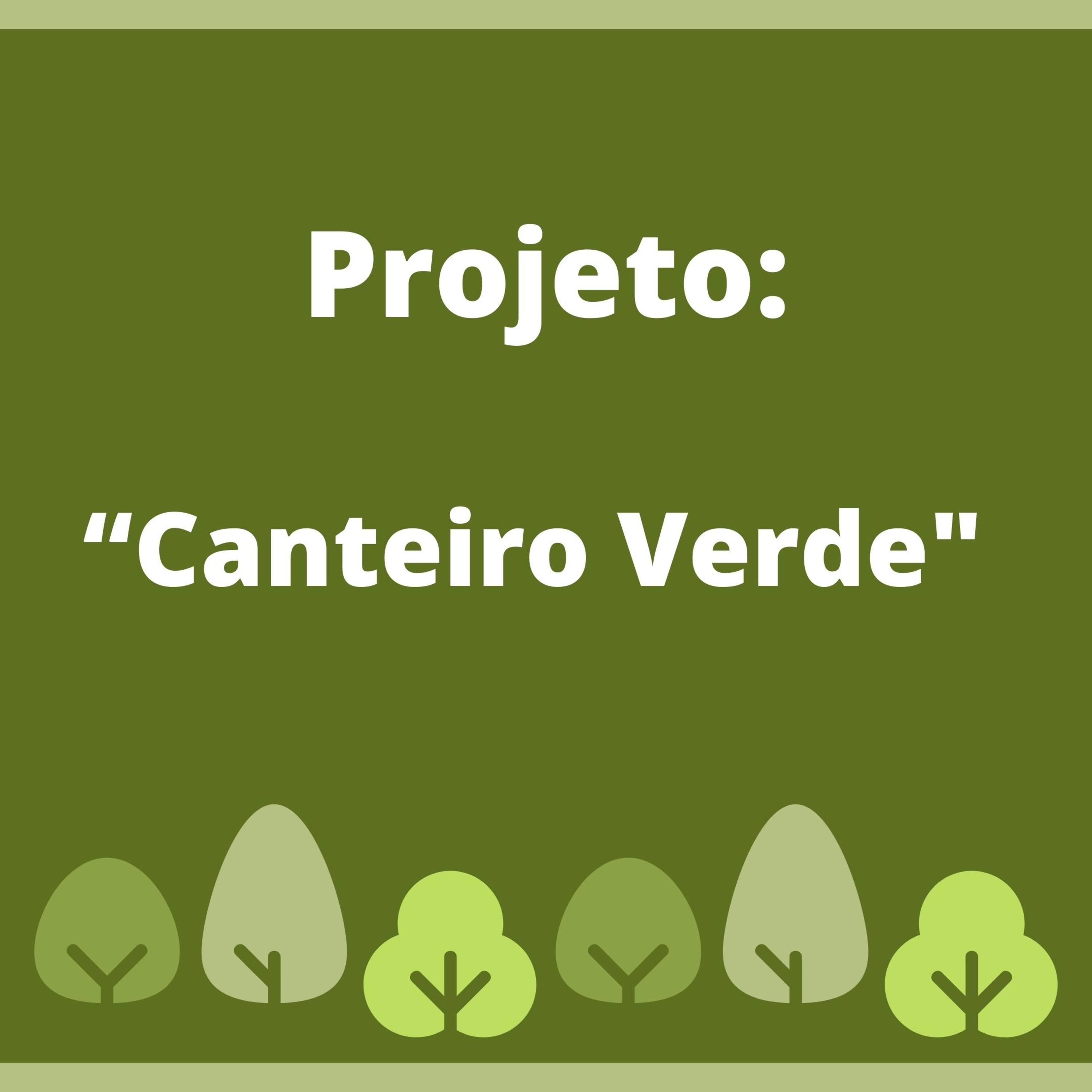 Projeto "Canteiro Verde arborização e paisagismo do canteiro central da BR135". episode artwork