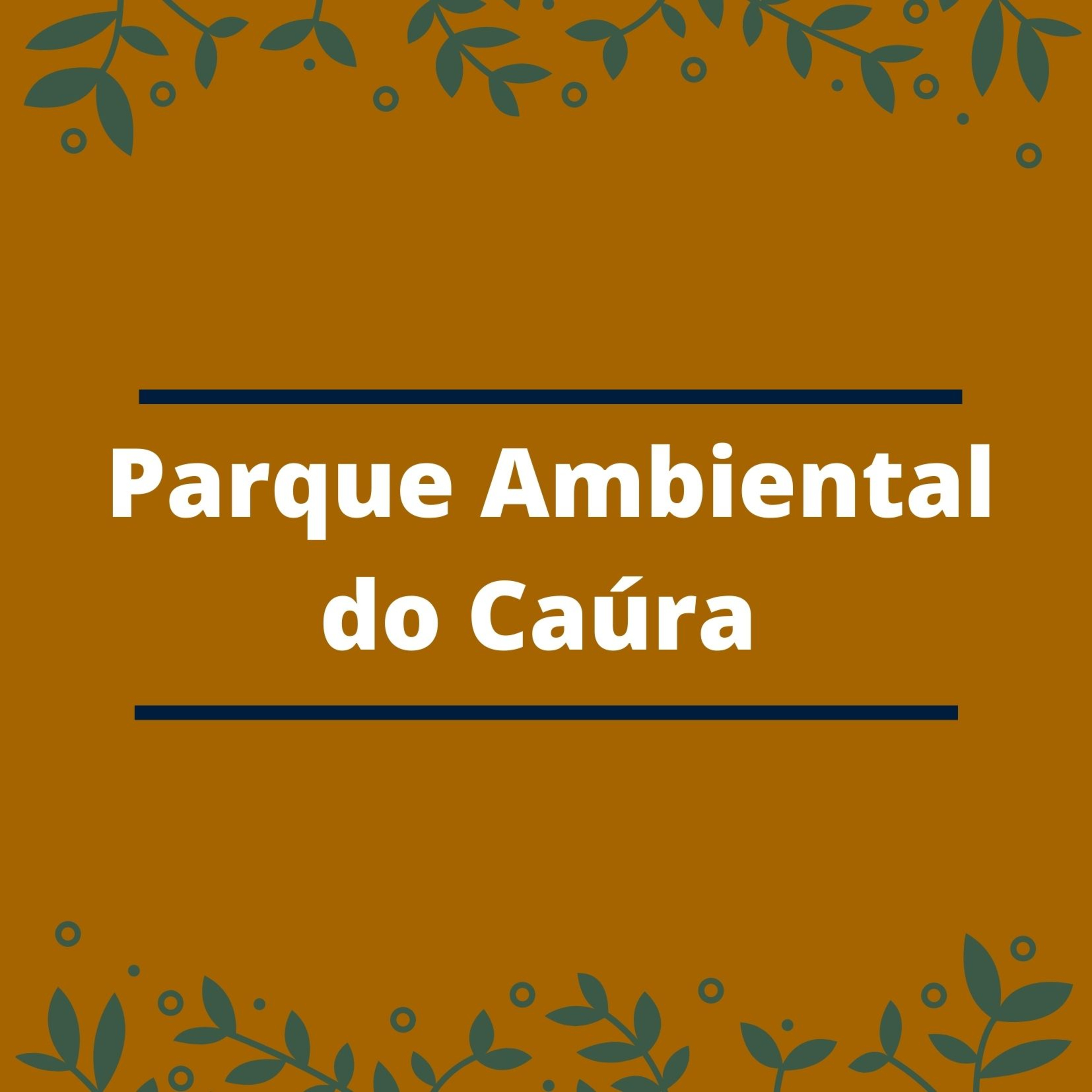 Projeto Parque Ambiental do Caúra (Unidade de Conservação). episode artwork