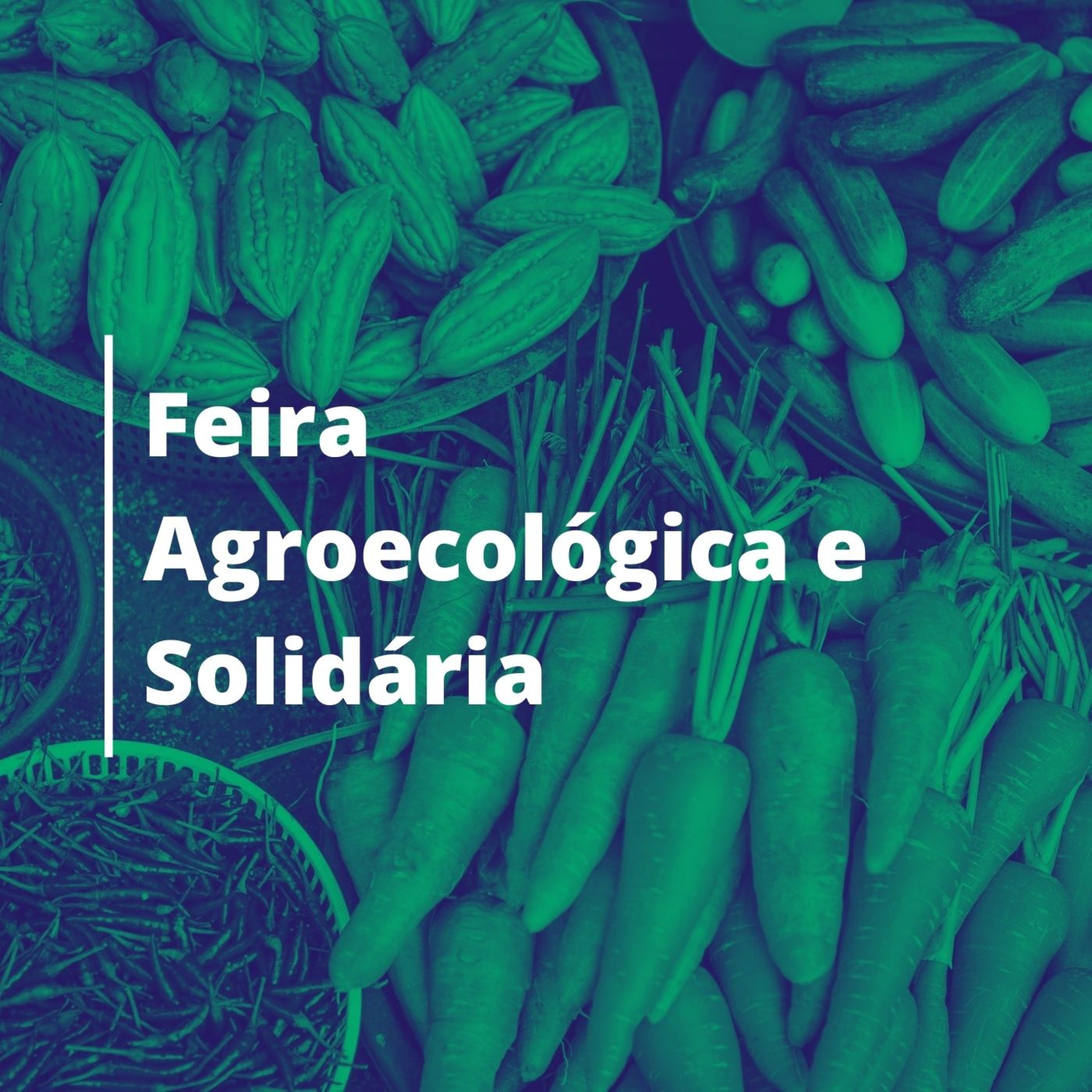  Feira Agroecológica e Solidária, que acontecerá na quarta-feira (04/11), na Praça da Alegria, das 06h às 12h. episode artwork