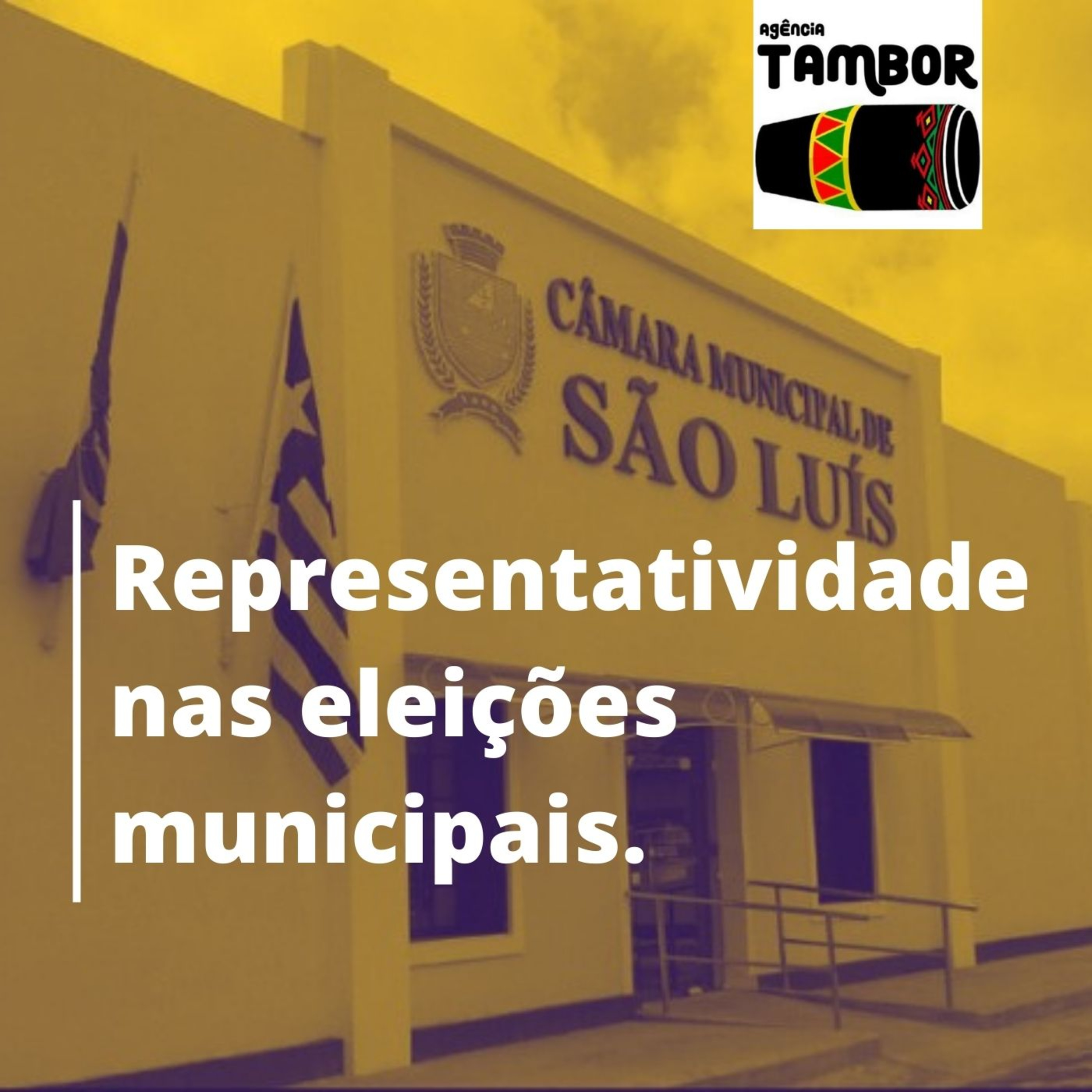 A ideia de Representatividade nas Eleições Municipais e o Novo Pleito na Câmara de Vereadores de São Luís. episode artwork