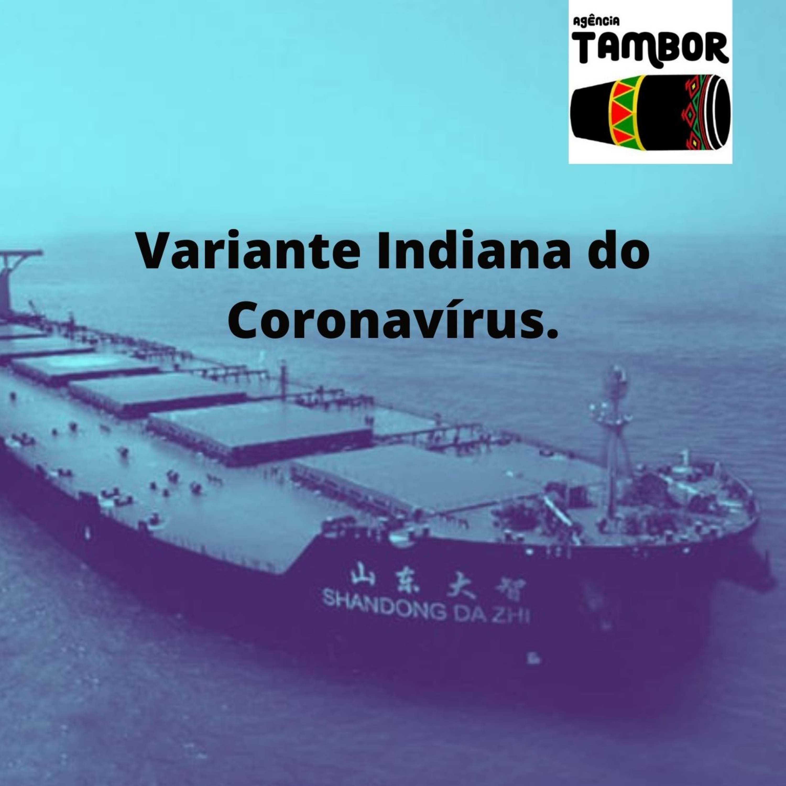 A Dra. Maria dos Remédios fala sobre a variante Indiana do Coronavírus, medidas preventivas e as vacinas. episode artwork