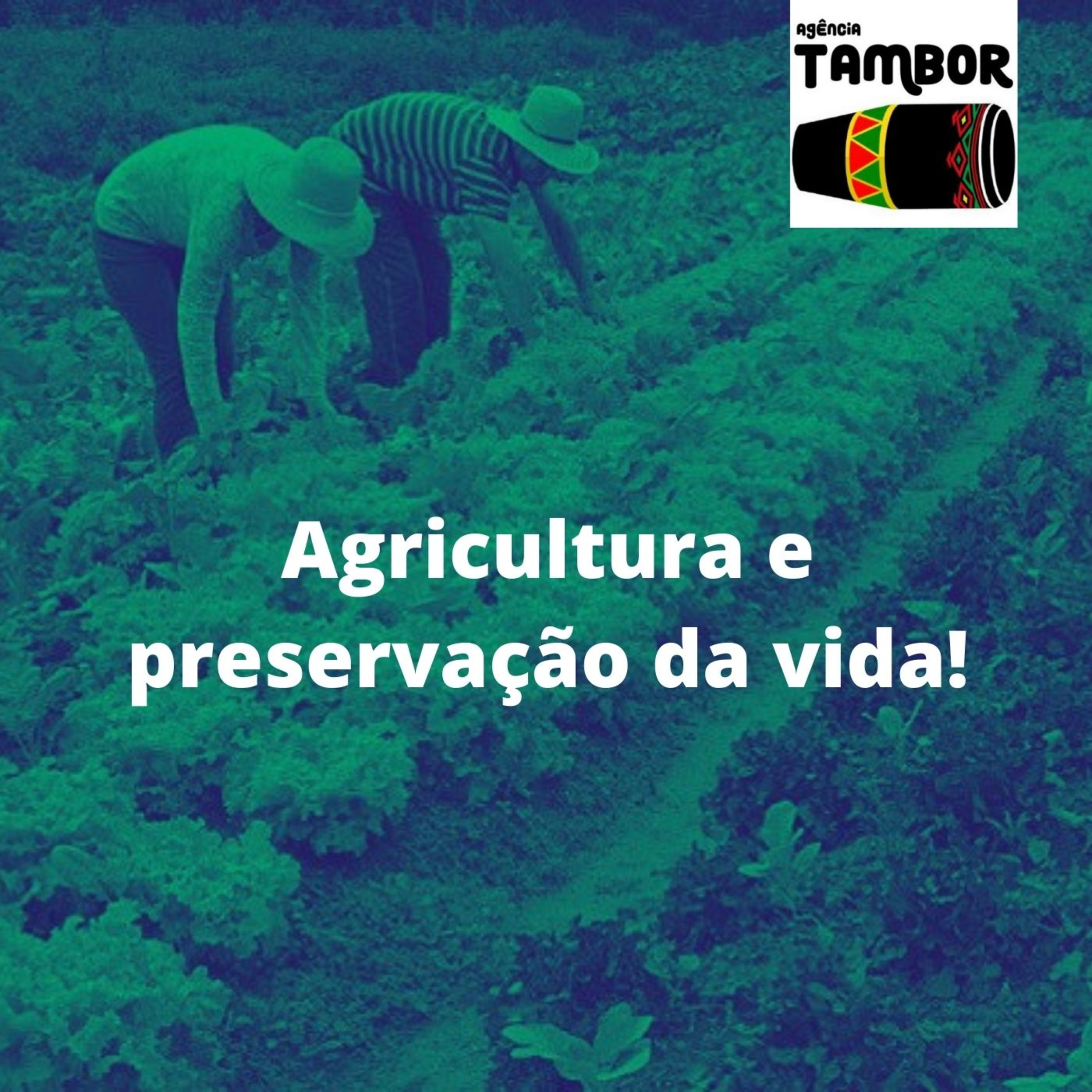 Carlos Pereira, coordenador do Programa de Economia Solidária da Associação Agroecológica Tijupá, falou sobre o Lançamento da Série "Territórios da Agroecologia". episode artwork