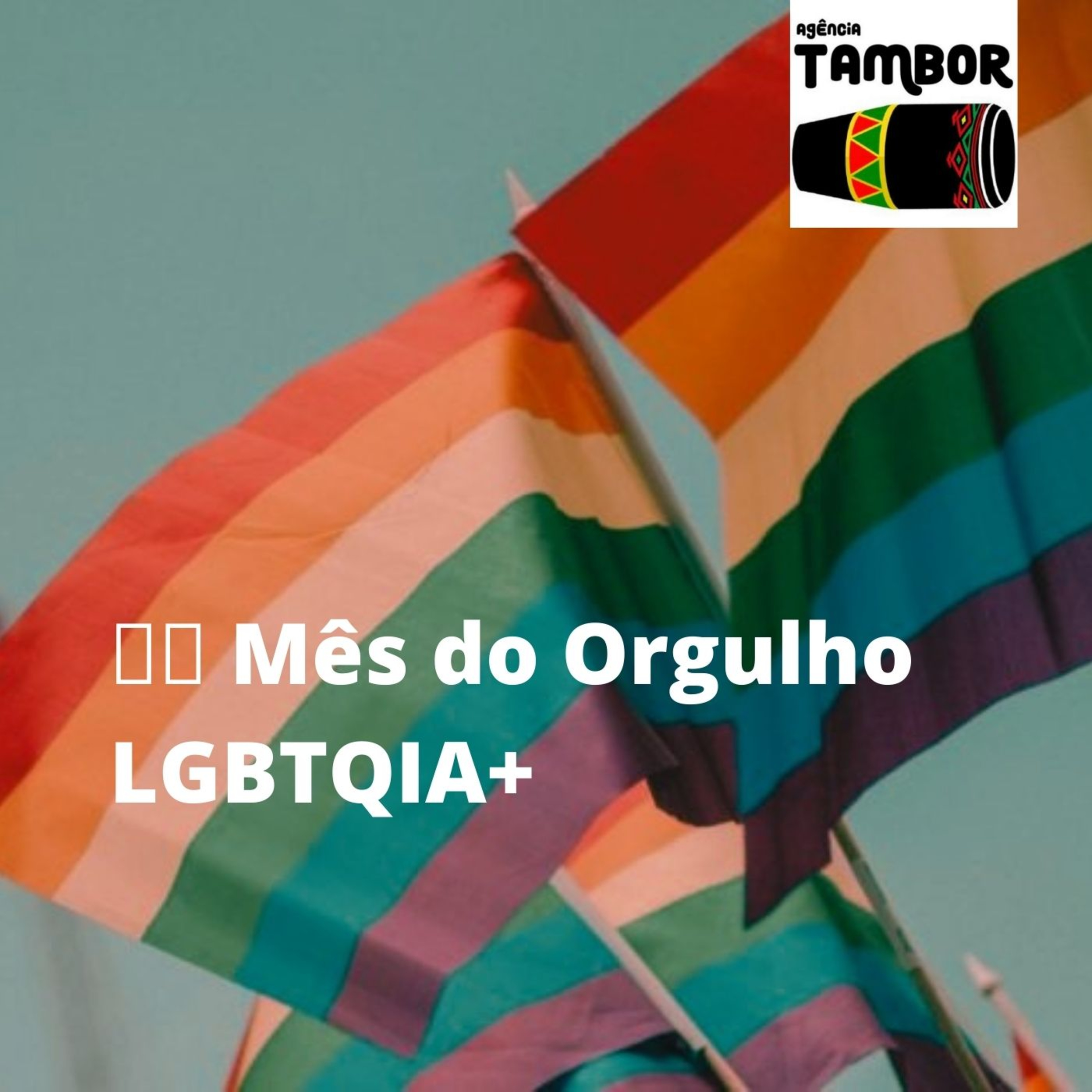 O Mês do Orgulho LGBTQIA+ e as lutas de enfrentamento a LGBTfobia. episode artwork