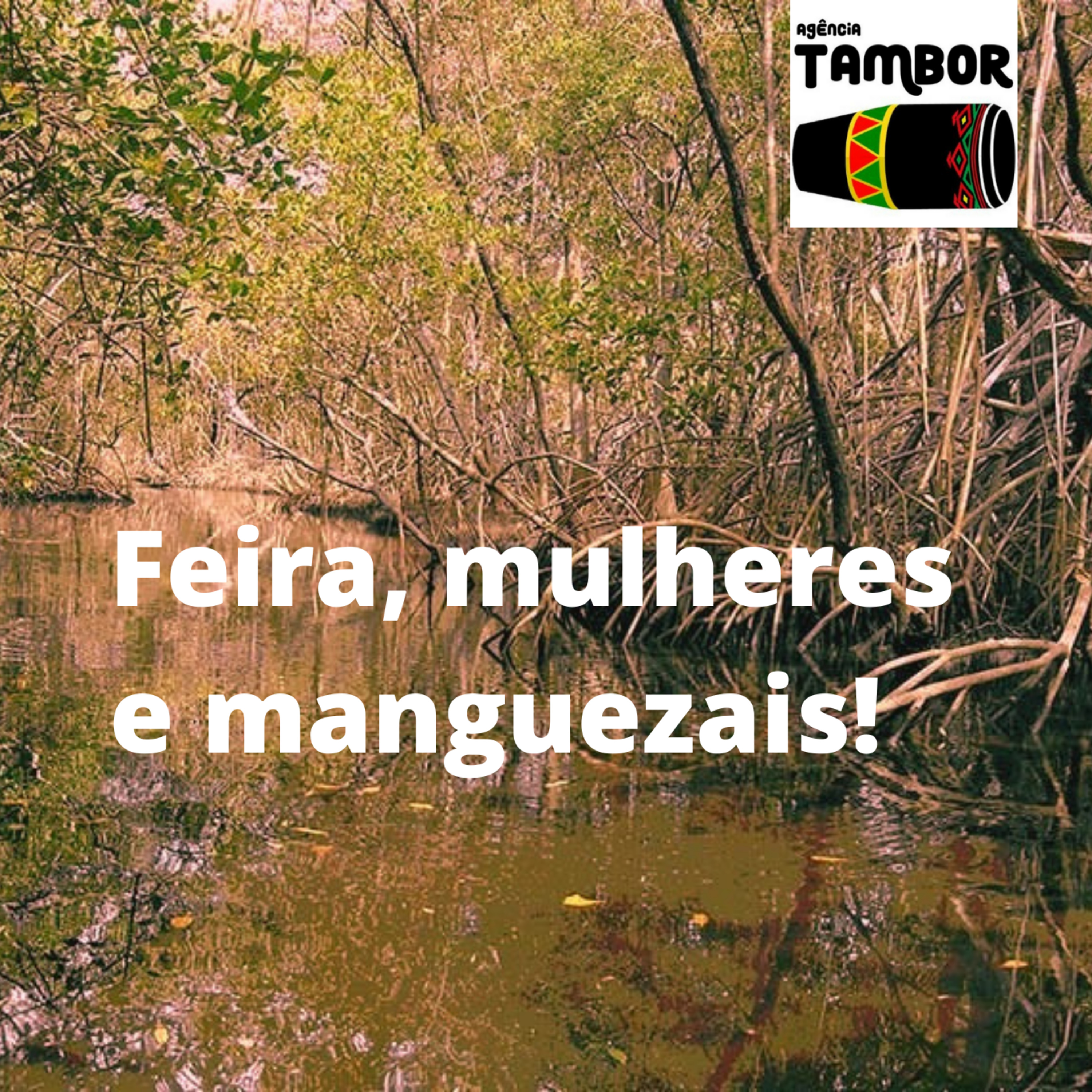 A Rede de Mulheres das Marés e das Águas dos Manguezais Amazônicos do Maranhão e Piauí. Feira dos produtos dos manguezais amazônicos, que acontecerá dia 31, sábado, na porta da Casa do Maranhão.  episode artwork