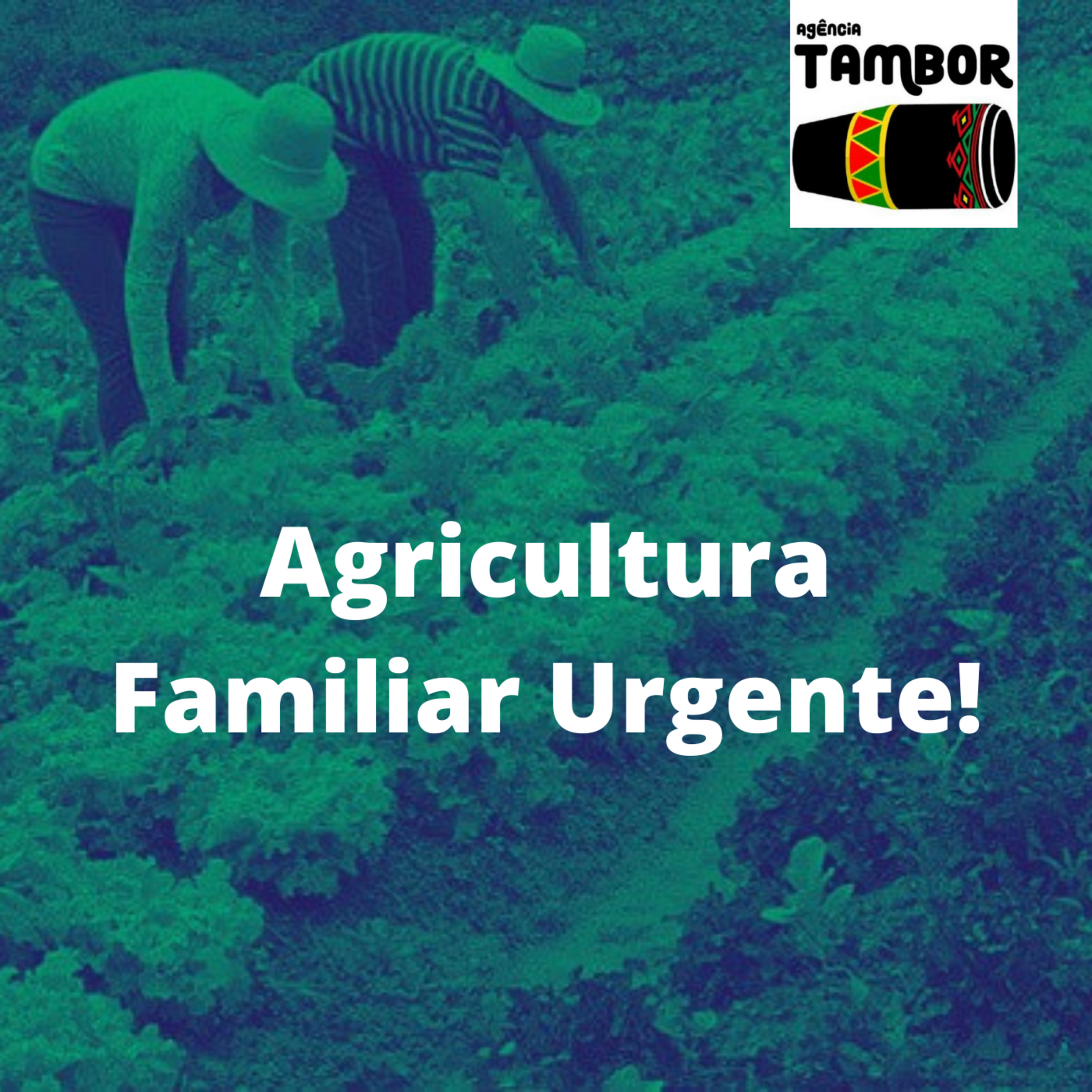 Os Enormes prejuízo que a Prefeitura de Viana está dando aos agricultores e agricultoras familiares, por não cumprir os compromissos com o Programa Nacional de Alimentação Escolar ( PNAE). episode artwork