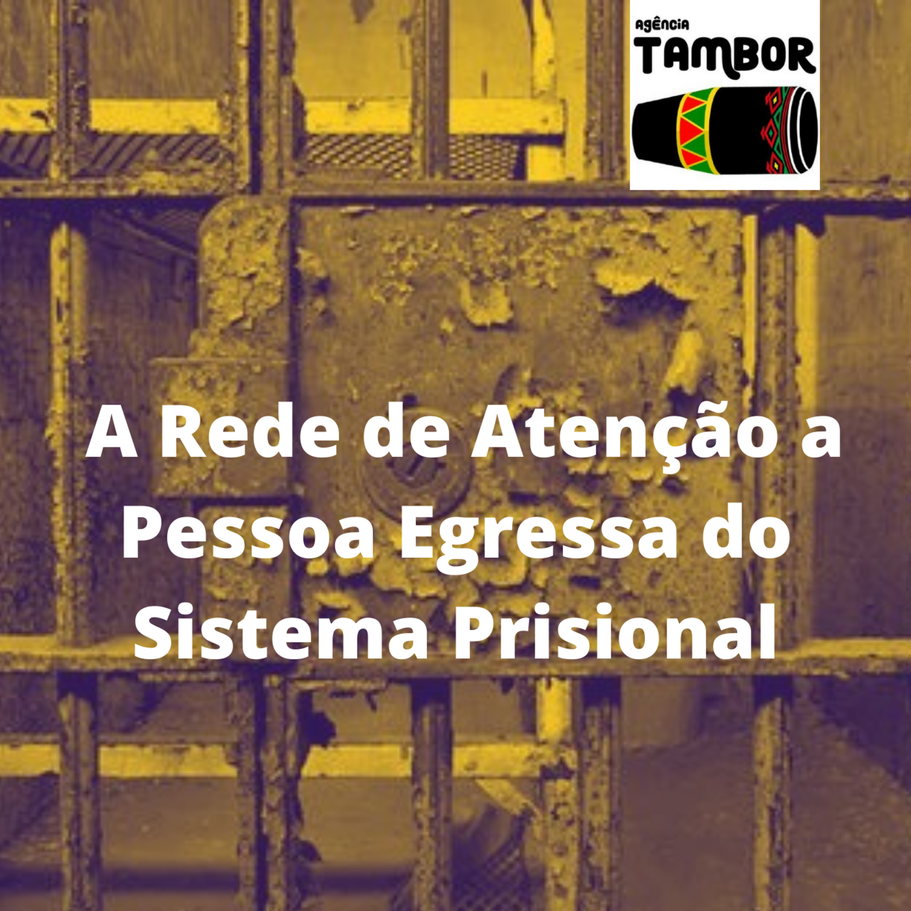 A Rede de Atenção a Pessoa Egressa do Sistema Prisional no Maranhão. episode artwork