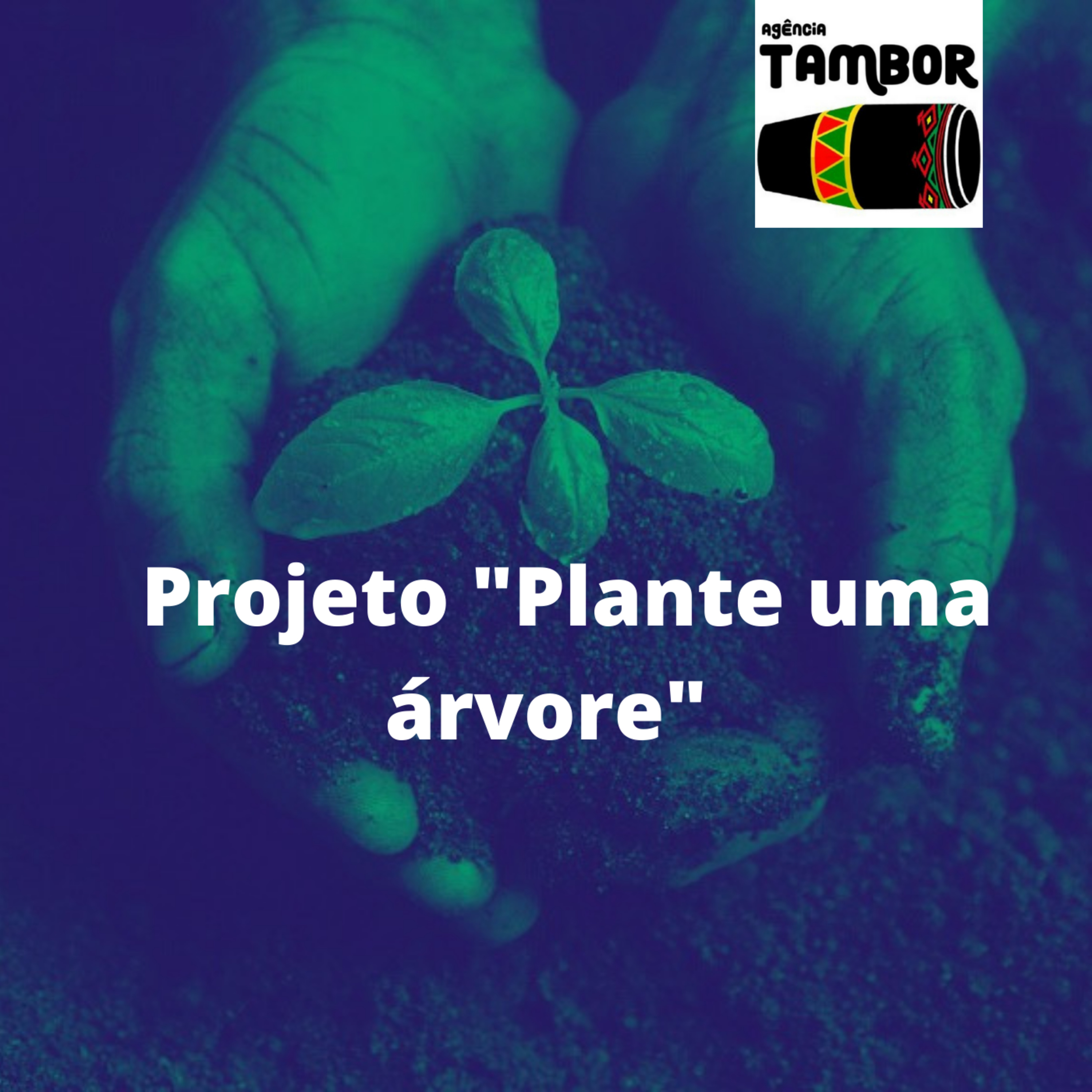 A campanha "Plante uma Árvore" é um projeto da Rede de Agroecologia do Maranhão (RAMA). Ela denuncia o agronegócio, as queimadas e a monocultura, em nosso Estado. episode artwork